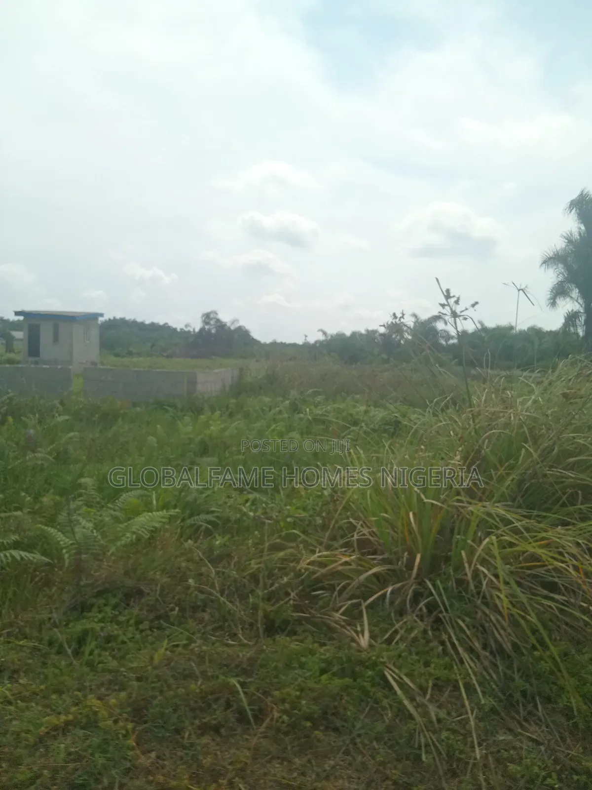 Land for Sale in Bogije
