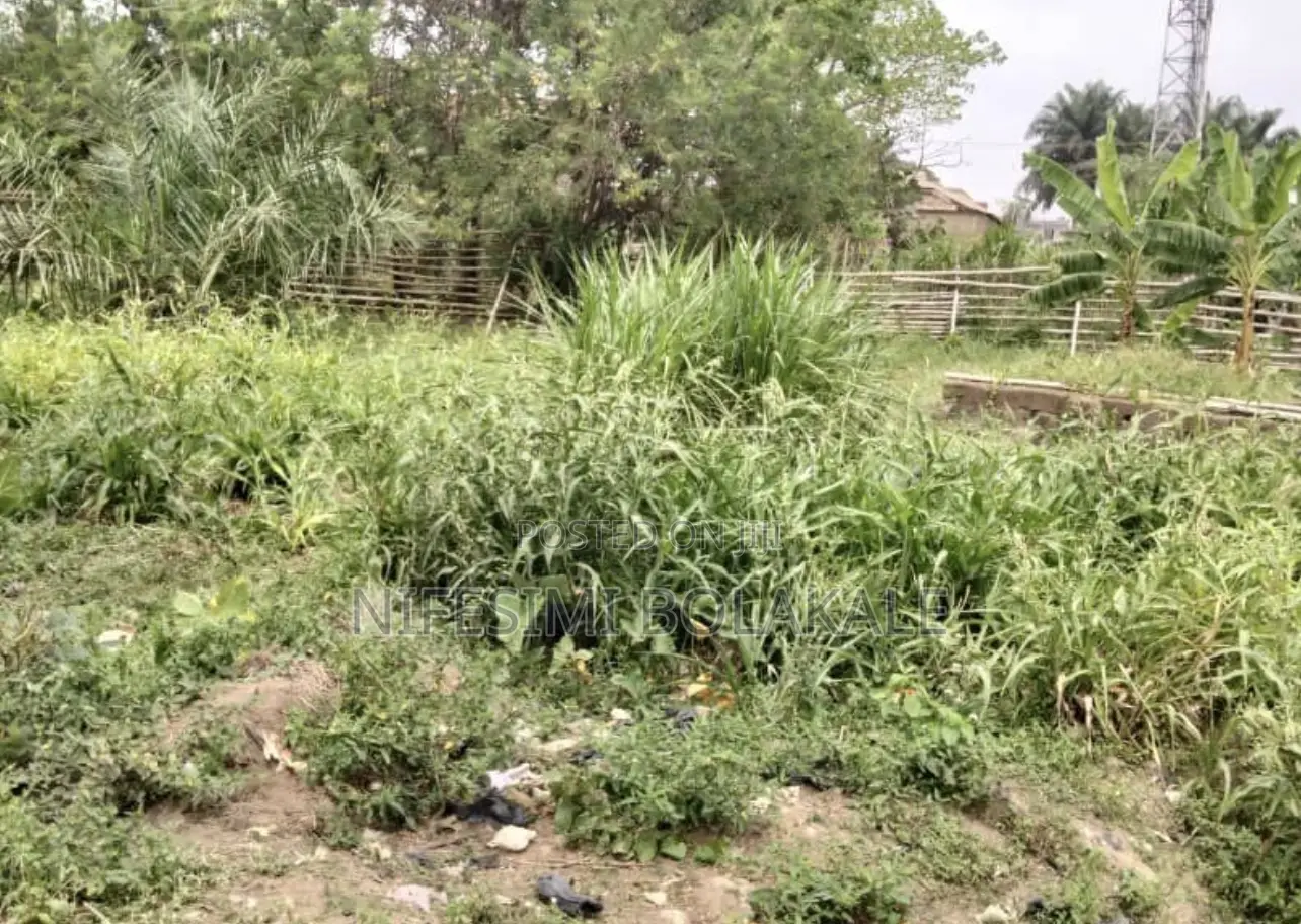 542sqm of Land Behind Finrel Supermarket, Ojurin Akobo in Akobo