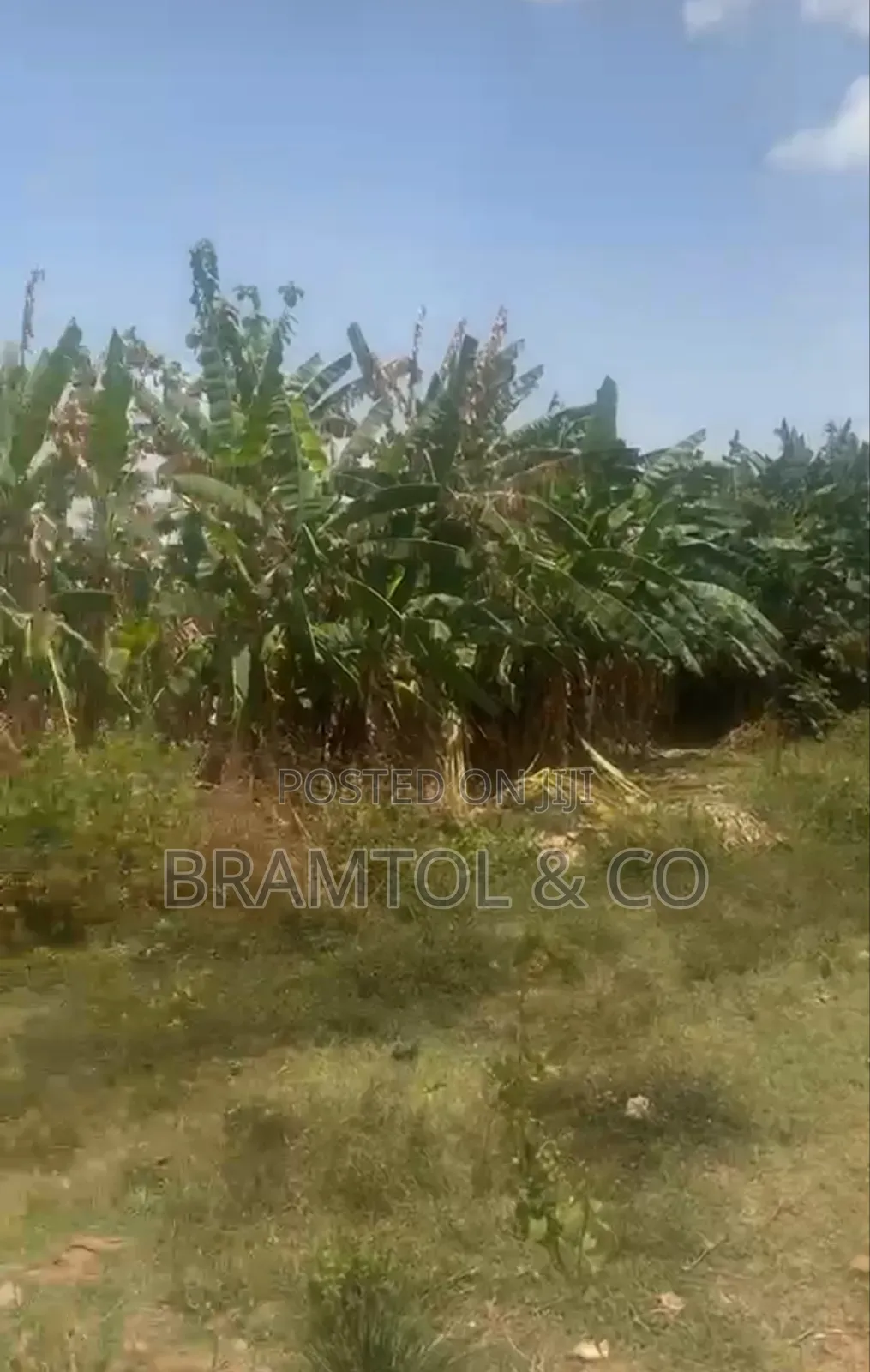 750sqm Residential Jahi Gilmor Land for Sale in Jahi