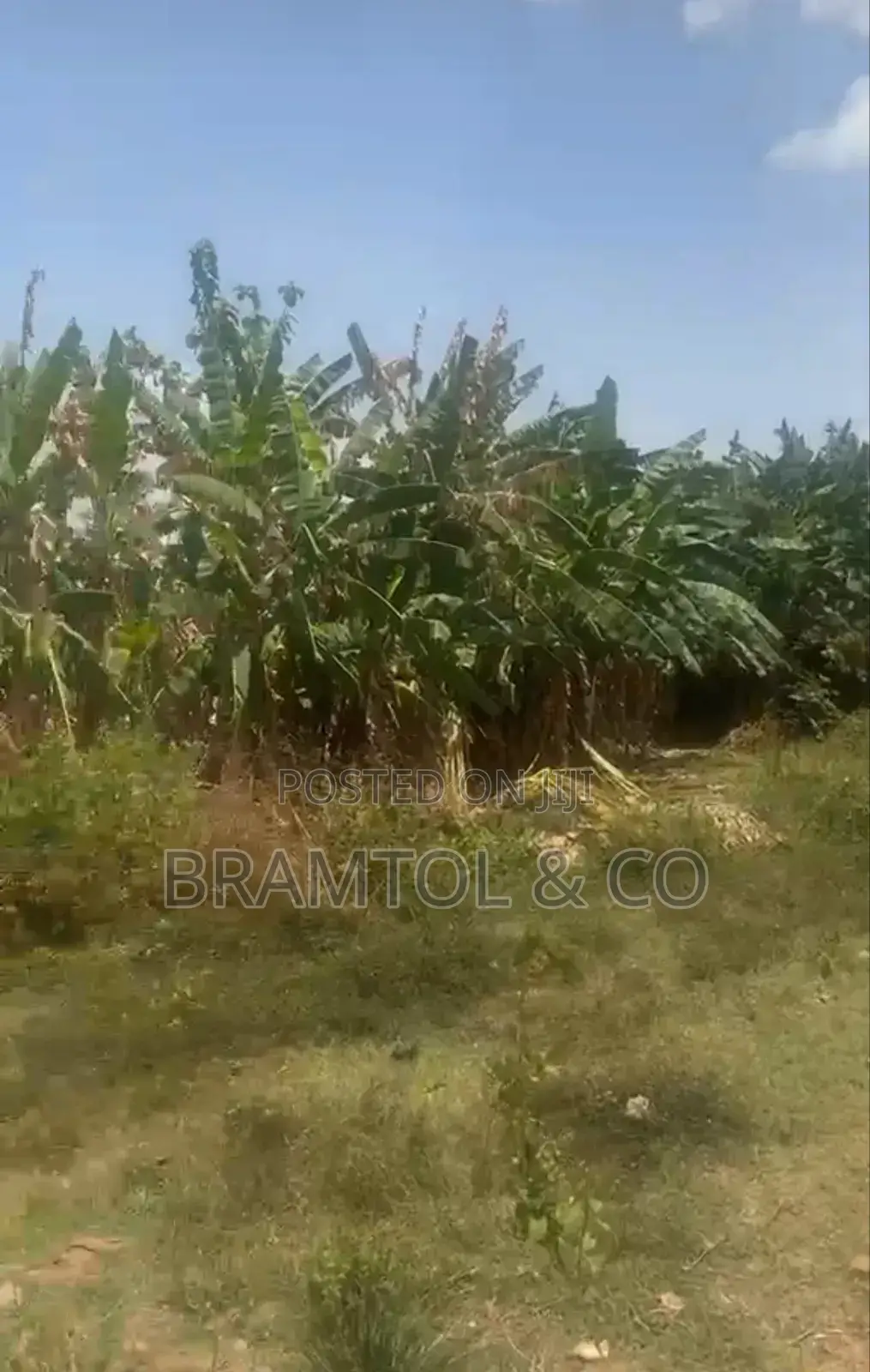 750sqm Residential Jahi Gilmor Land for Sale in Jahi