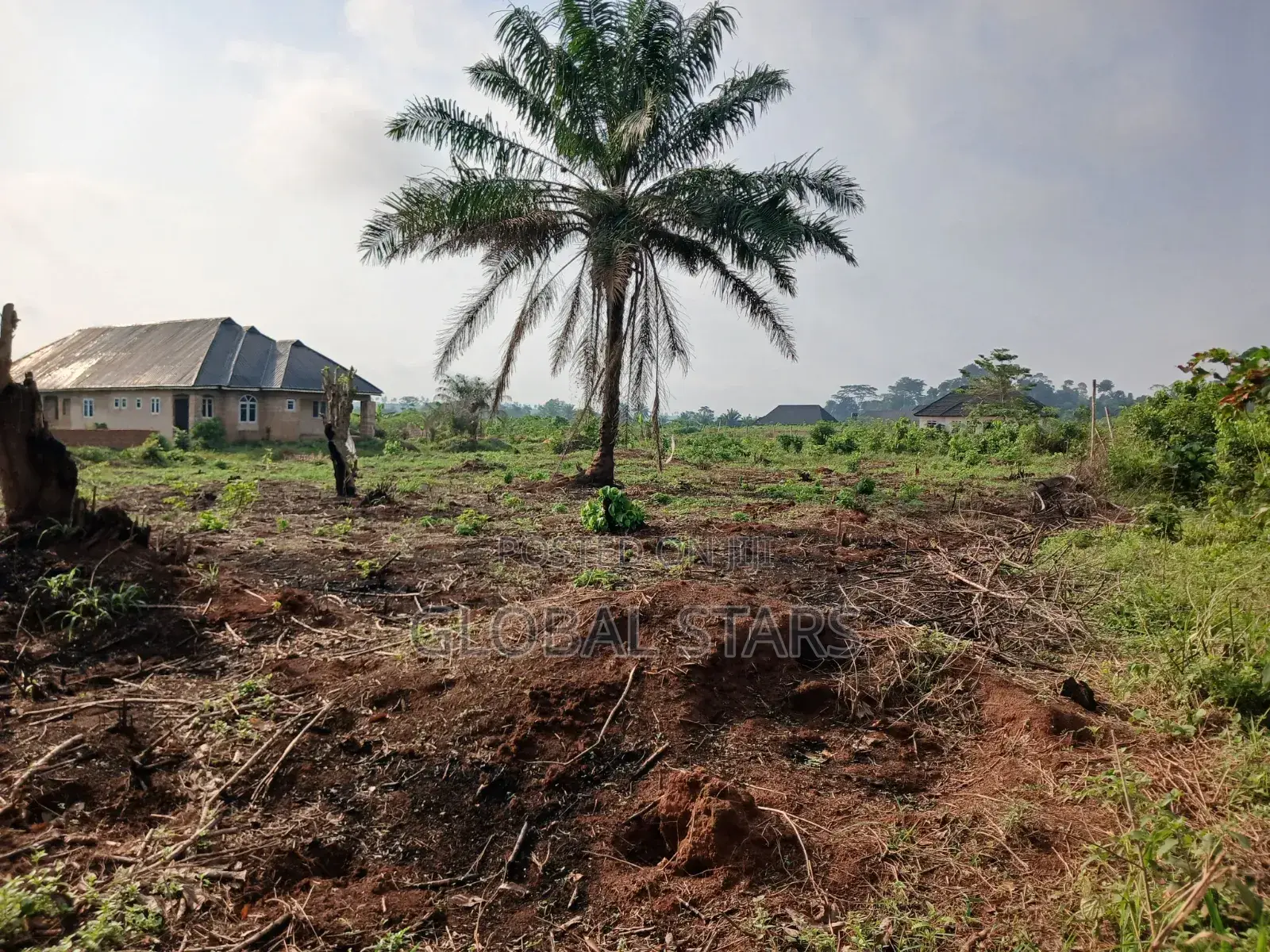 100 by 100 Plots of Land for Sale at Global Estate, Auchi/Agbor Road in Benin City