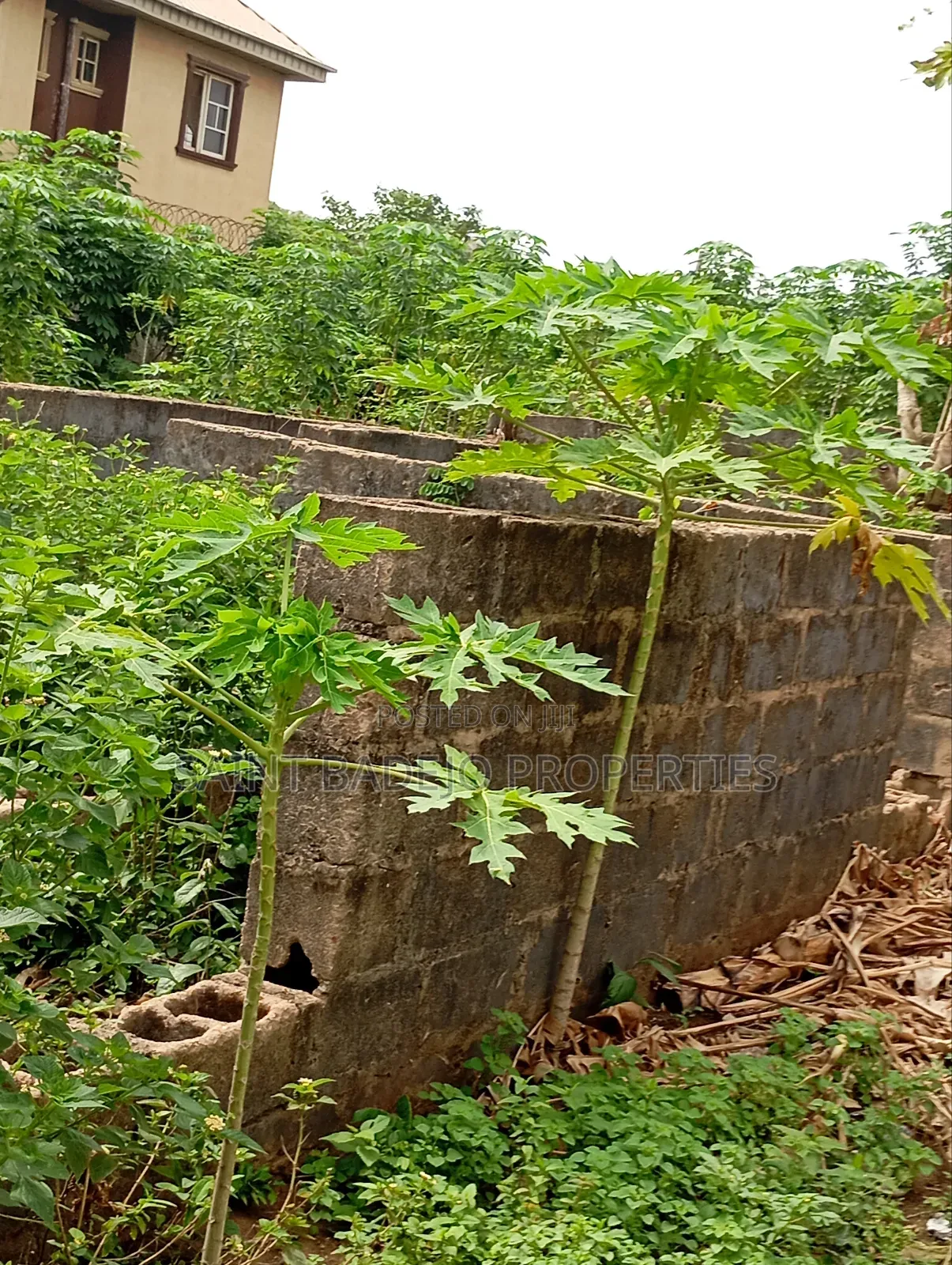 Land for Sale in Gberigbe