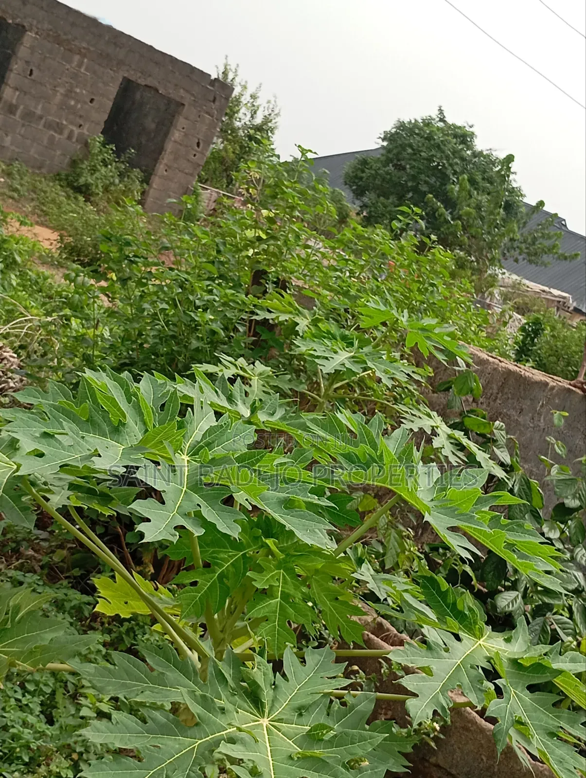 Land for Sale in Gberigbe