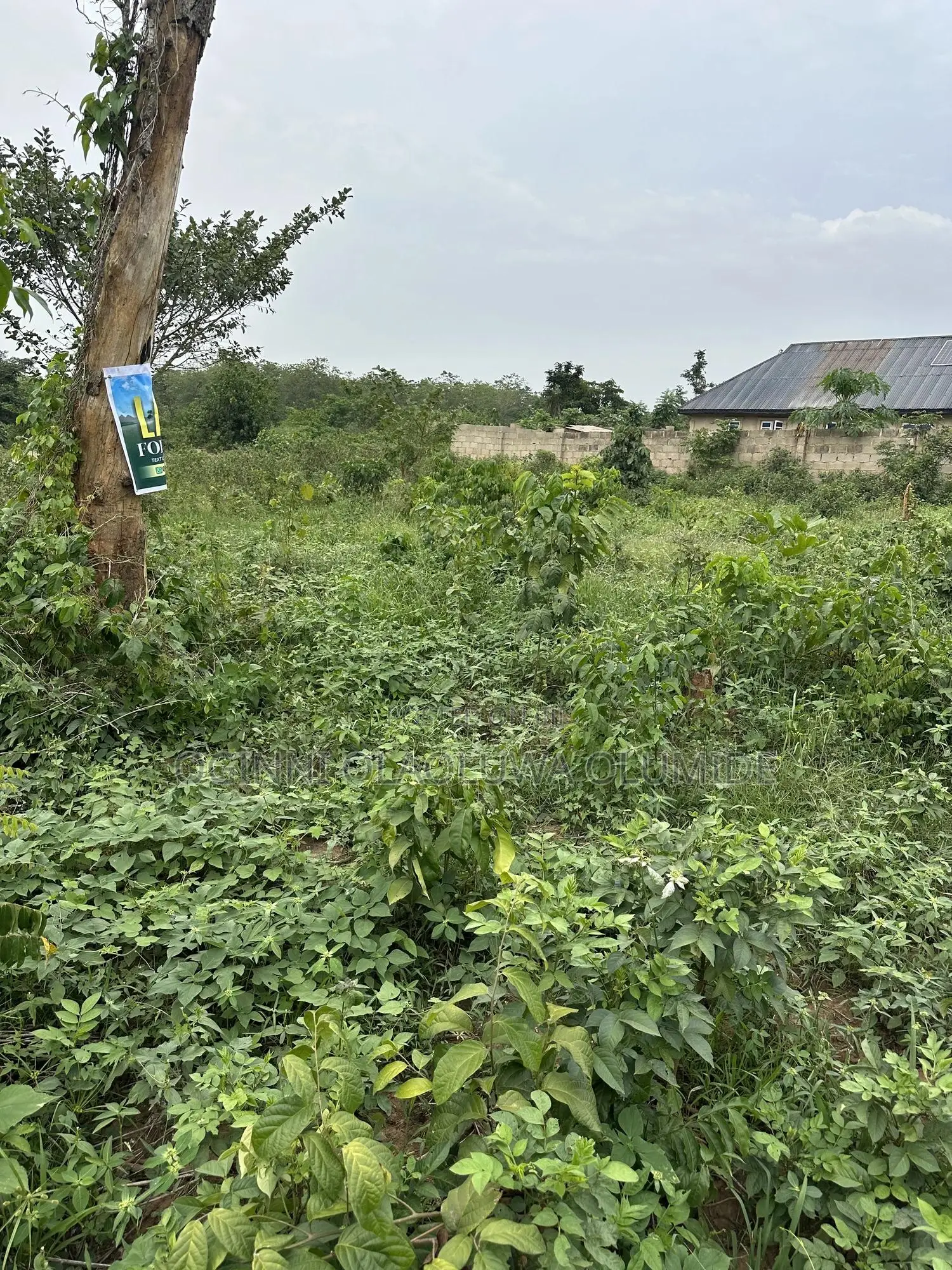 1plot of Land at Orita Iloko After Gold Fm in Ilesa