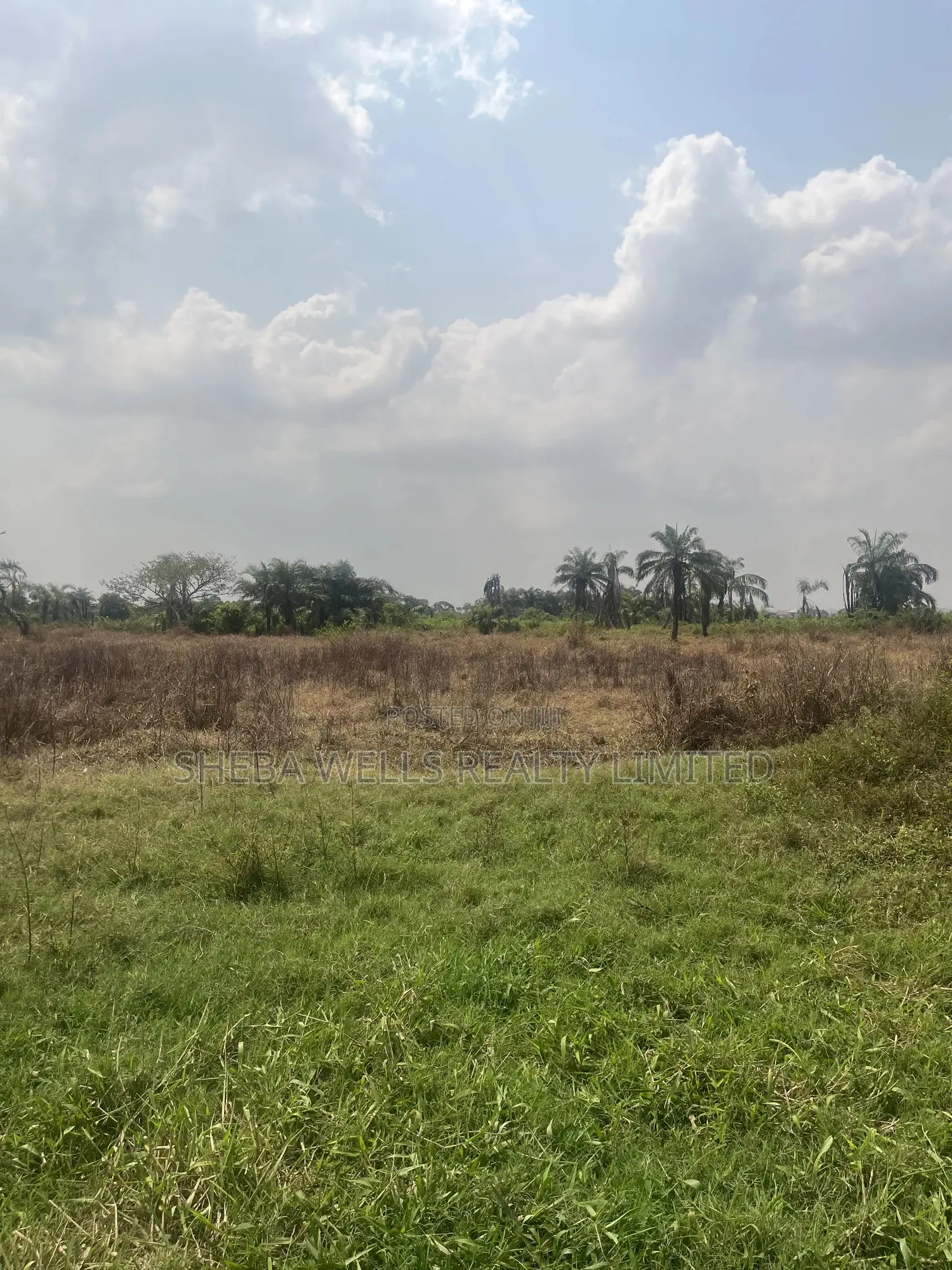 30 Acres Of Land For Sale In Isheri-north, Lagos State in Isheri North