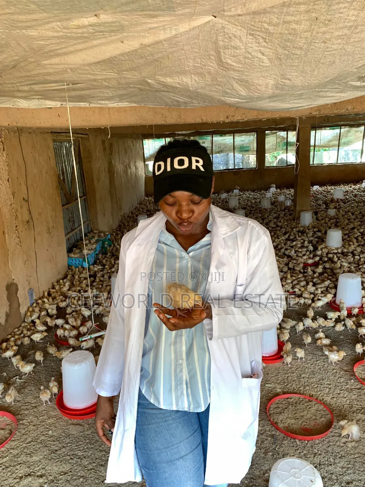 Poultry Farm for Lease at Akala Express Way Oluyole Extension in Akala Express