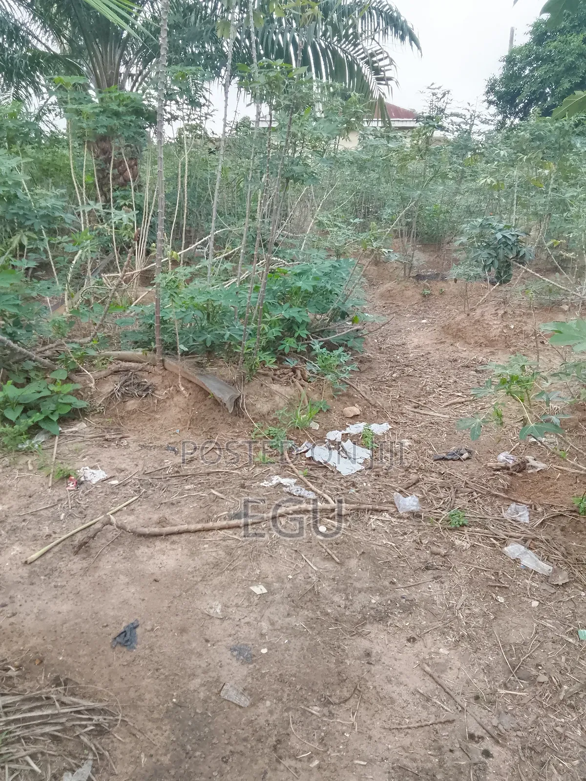 A Plot of Land in Nike in Enugu