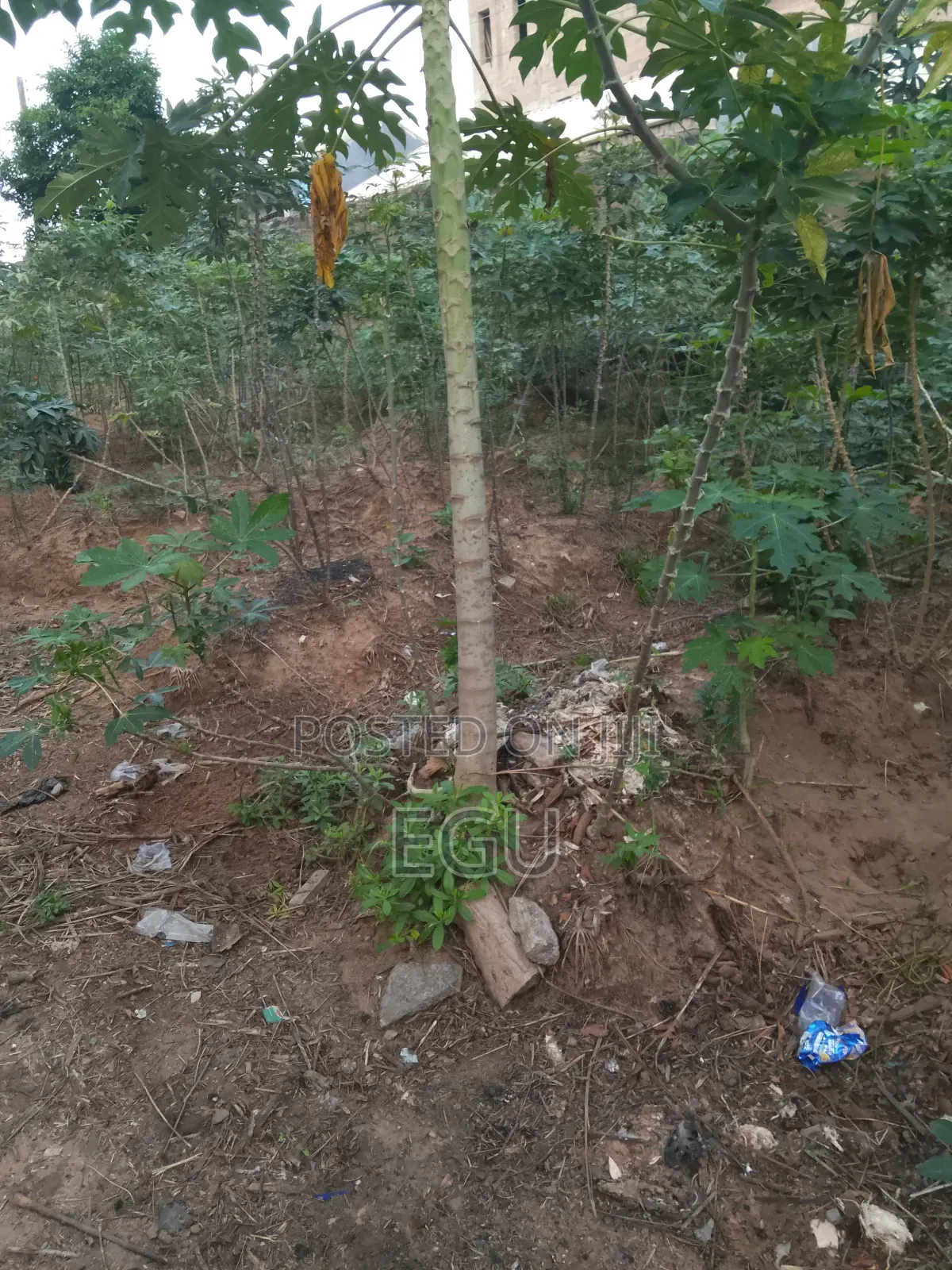 A Plot of Land in Nike in Enugu
