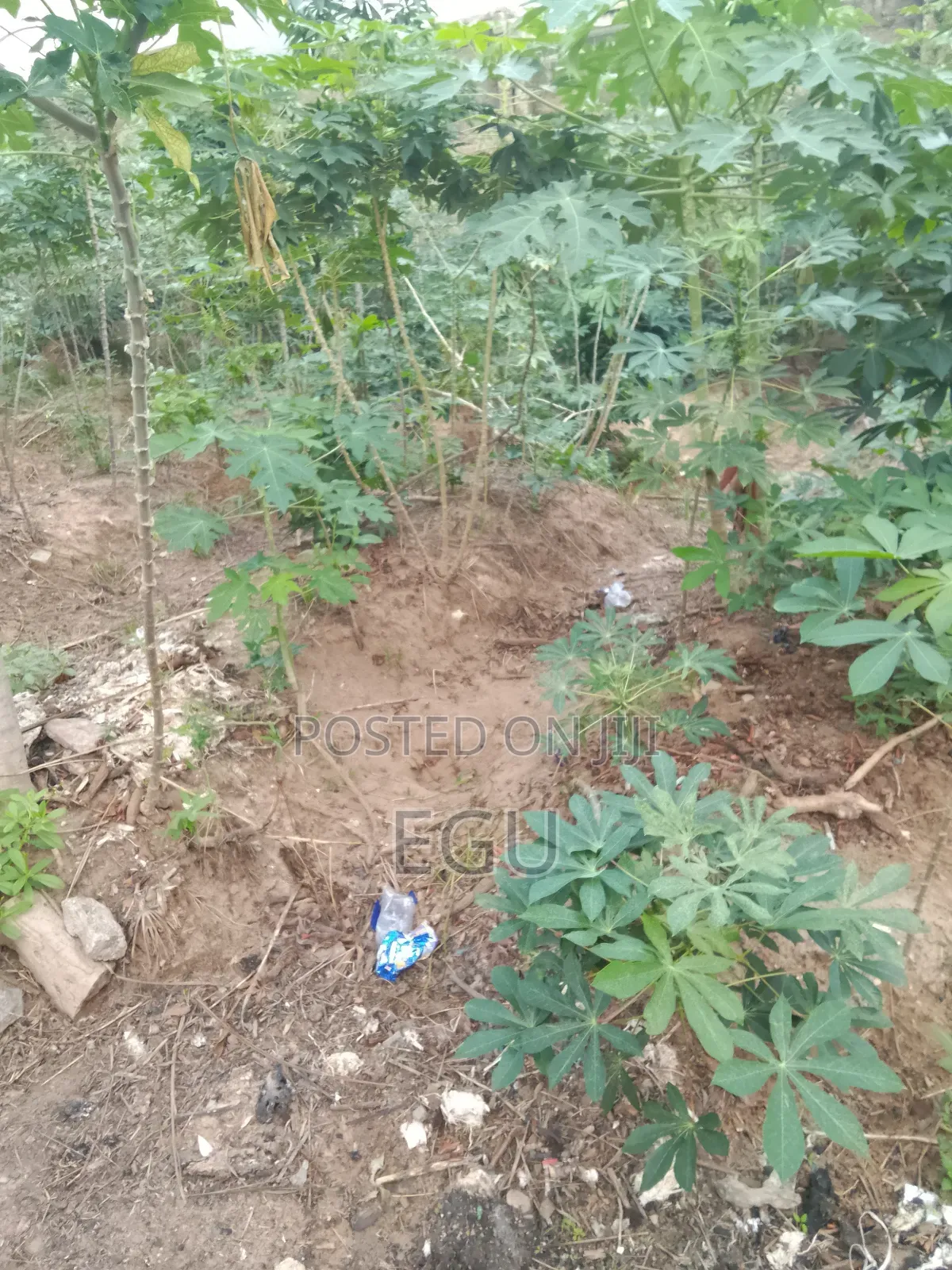 A Plot of Land in Nike in Enugu