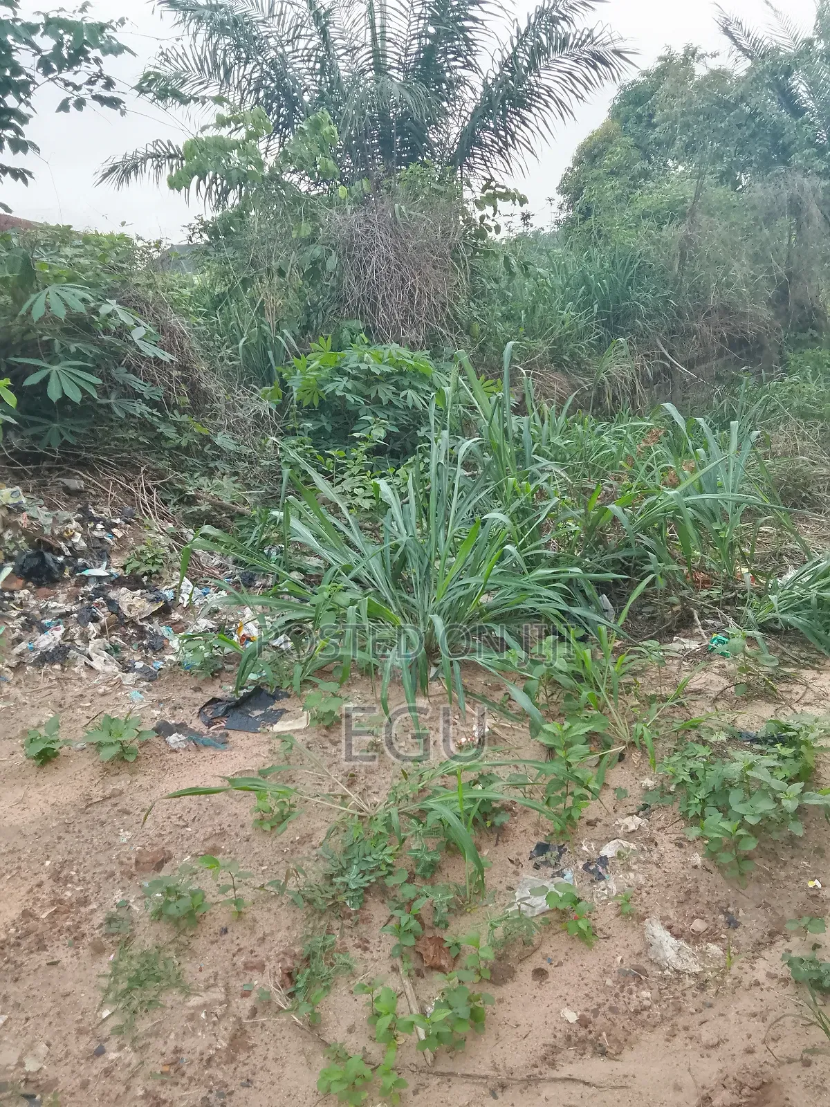 A Plot of Land in Abakpa in Enugu