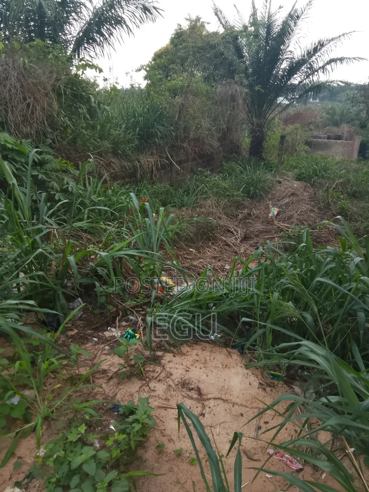 A Plot of Land in Abakpa in Enugu