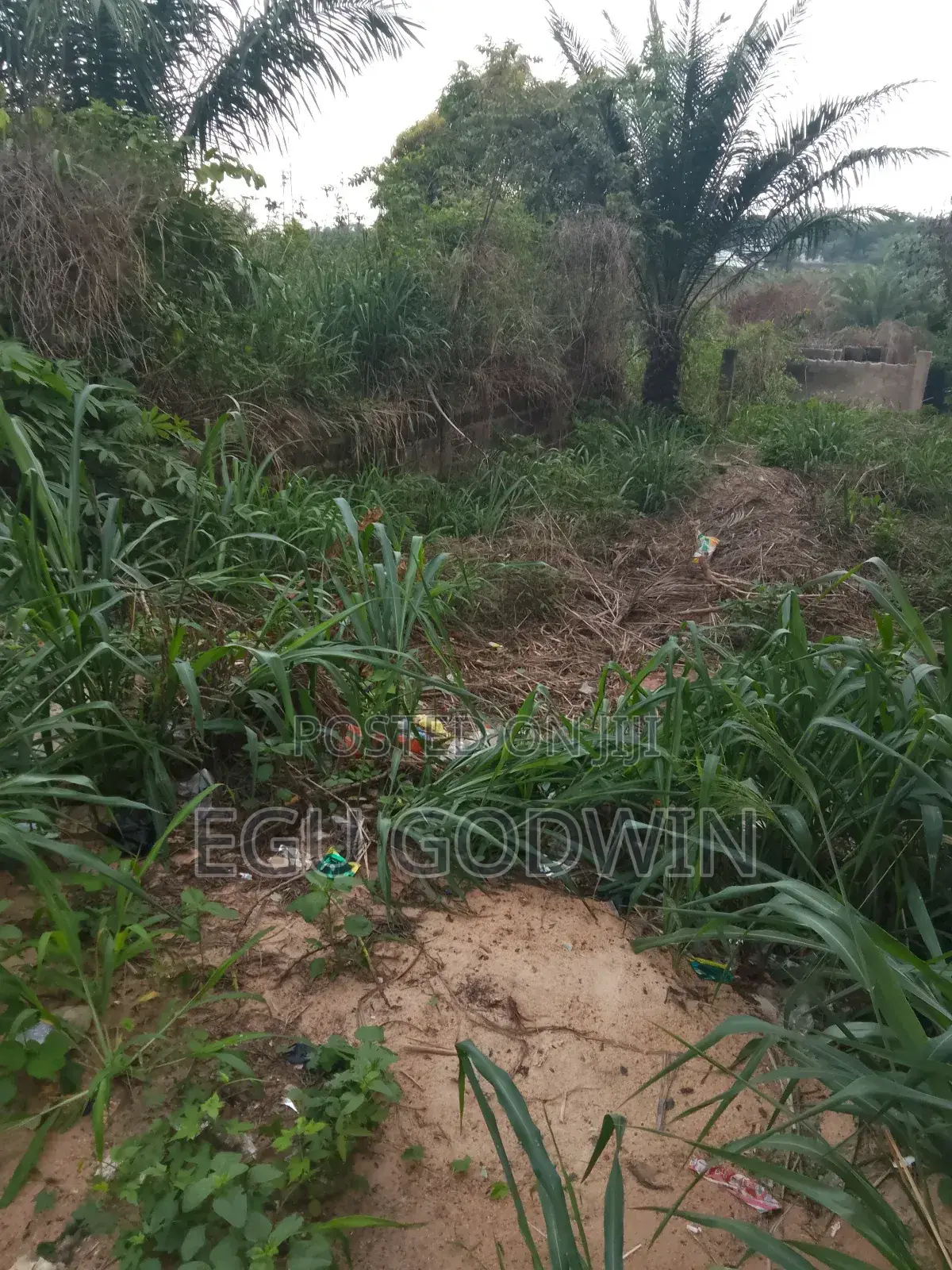 A Plot of Land in Abakpa in Enugu