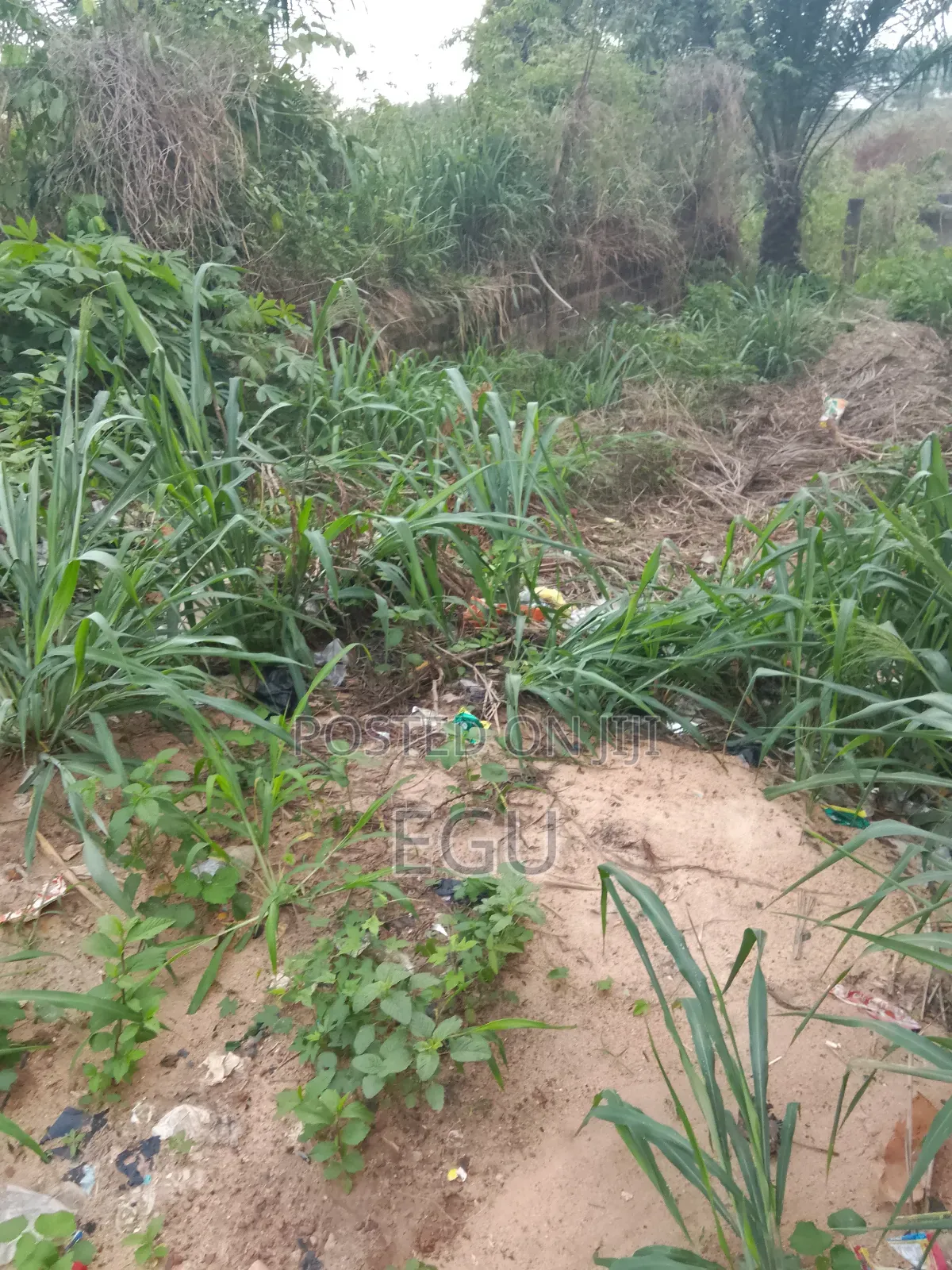 A Plot of Land in Abakpa in Enugu