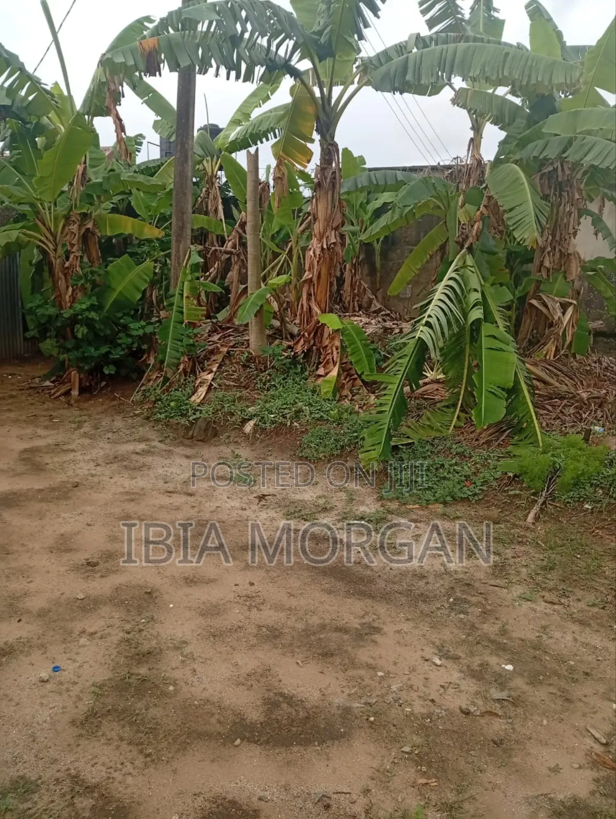 16 Plots of Land, for Rent, Off Ibb Ring Rd 2, Behind Ibom Hall, Uyo in Uyo