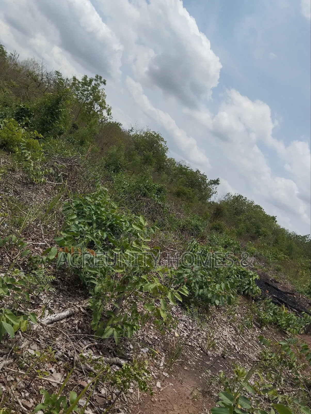 70 Acres of Fertile Farmland, Olora Village, Iseyin, Oyo State in Iseyin