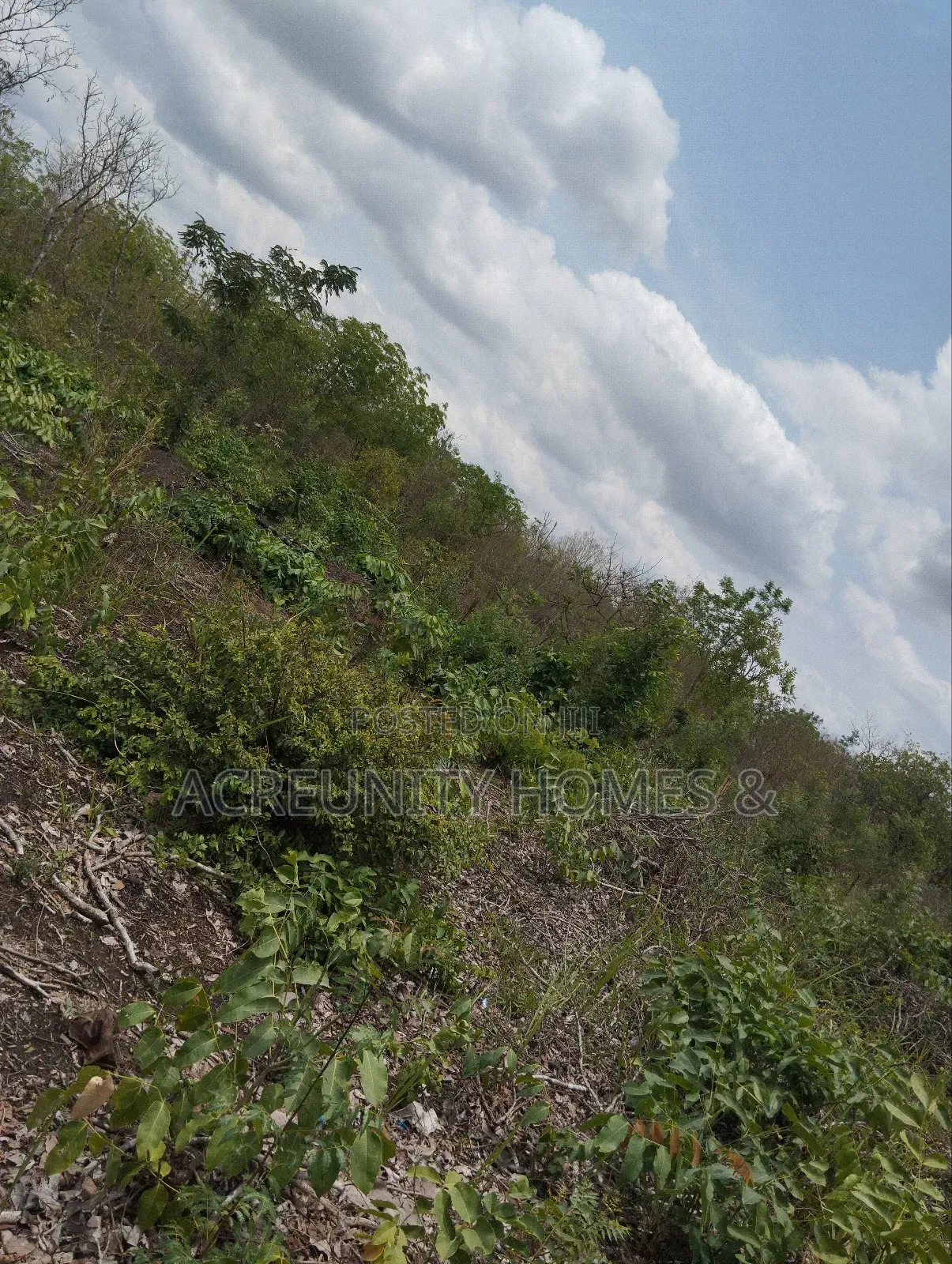 70 Acres of Fertile Farmland, Olora Village, Iseyin, Oyo State in Iseyin