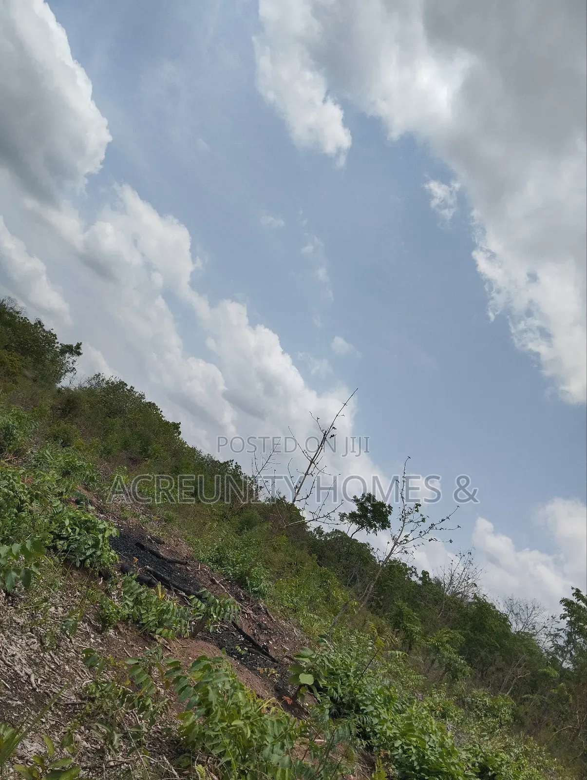 70 Acres of Fertile Farmland, Olora Village, Iseyin, Oyo State in Iseyin