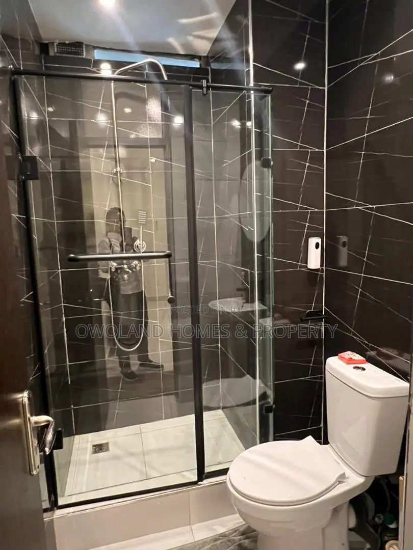 Furnished 3bdrm Apartment in Vi, Victoria Island for rent in Victoria Island