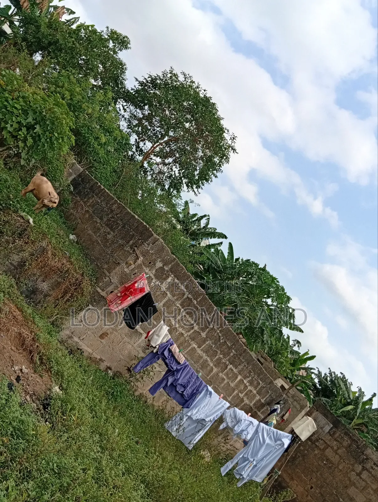 An Uncompleted Building for Sale in Ayobo,Lagos in Iyana Isolo