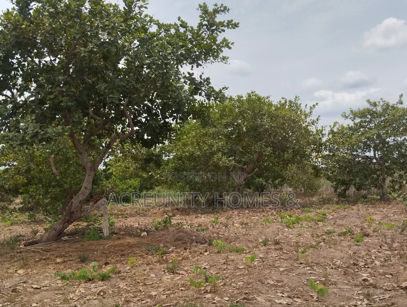 5 Acres of Commercial Land Available, Along Iseyin-Ogbomoso Express Wa in Iseyin
