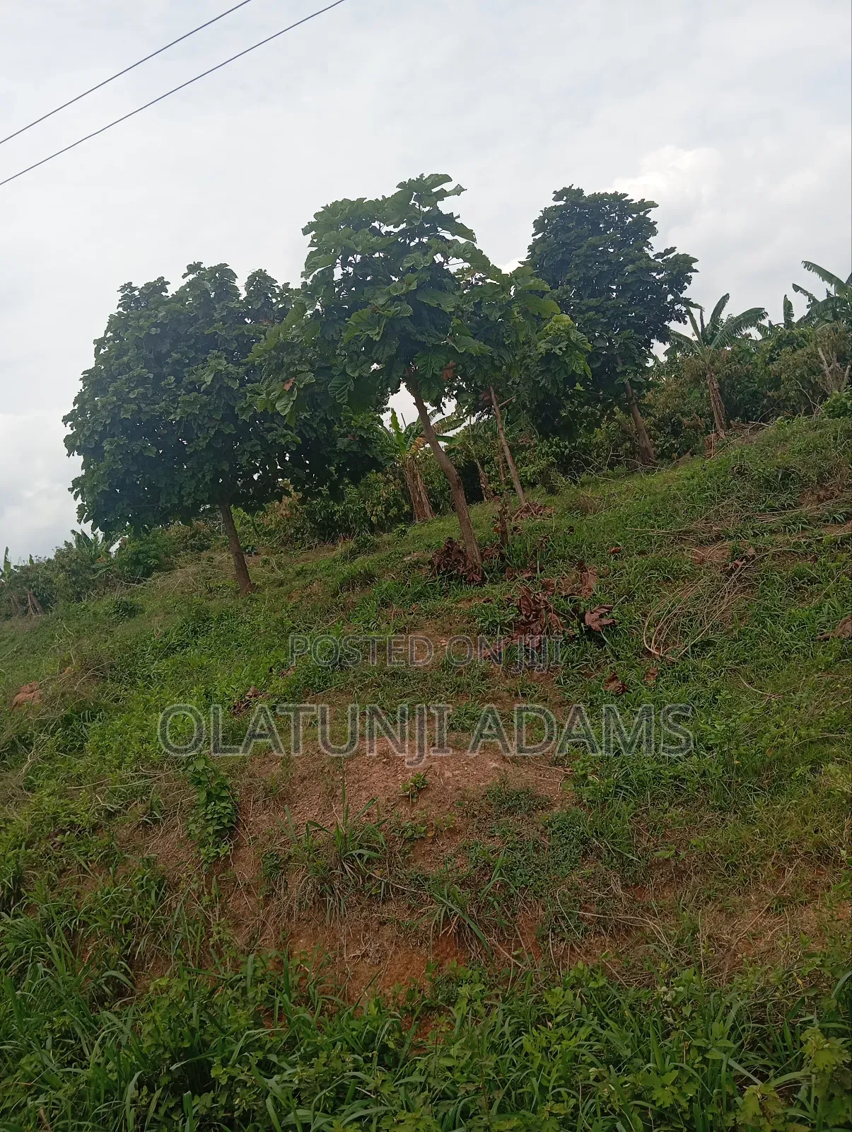 8000acres of Farmland at Ikoyi in Osogbo