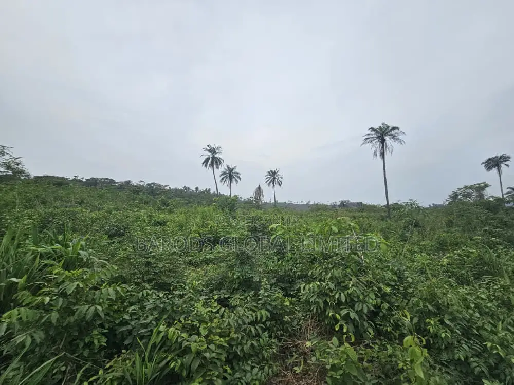 44 Acres of Farmland for Sale in Abeokuta South