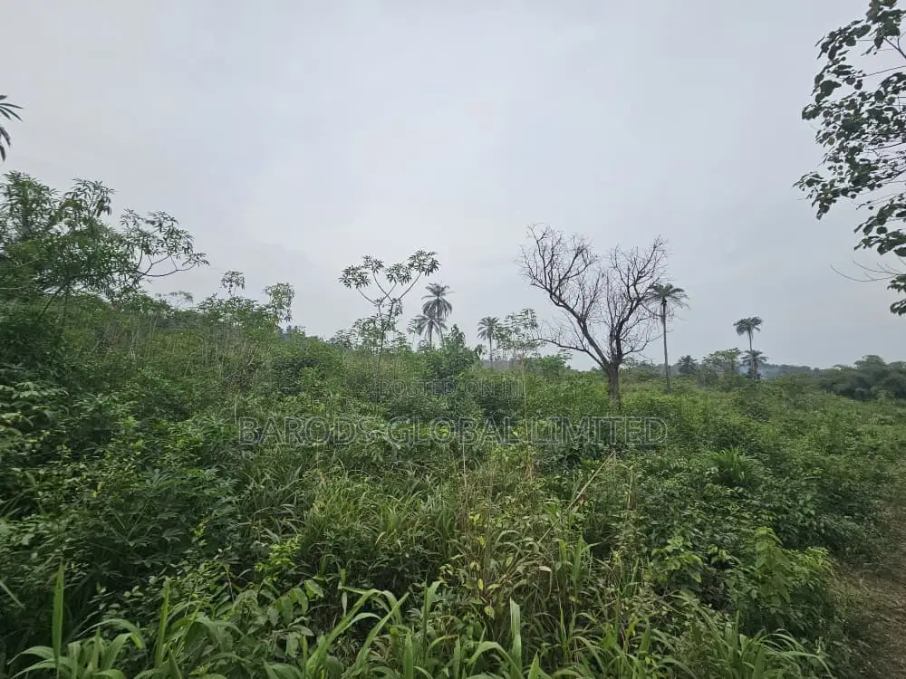 44 Acres of Farmland for Sale in Abeokuta South