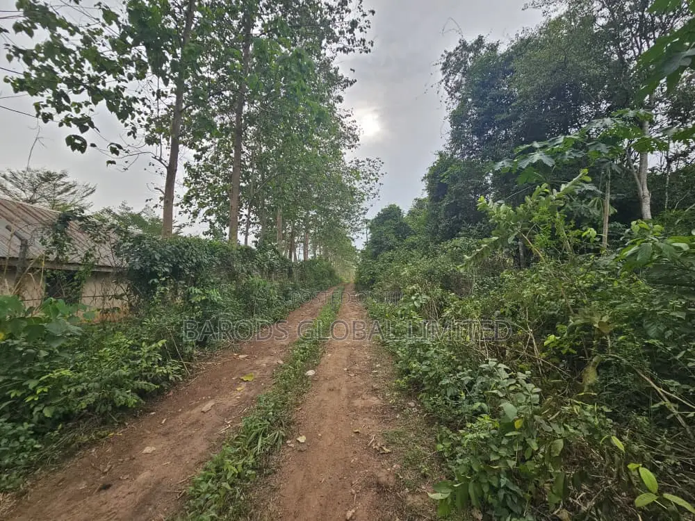 44 Acres of Farmland for Sale in Abeokuta South