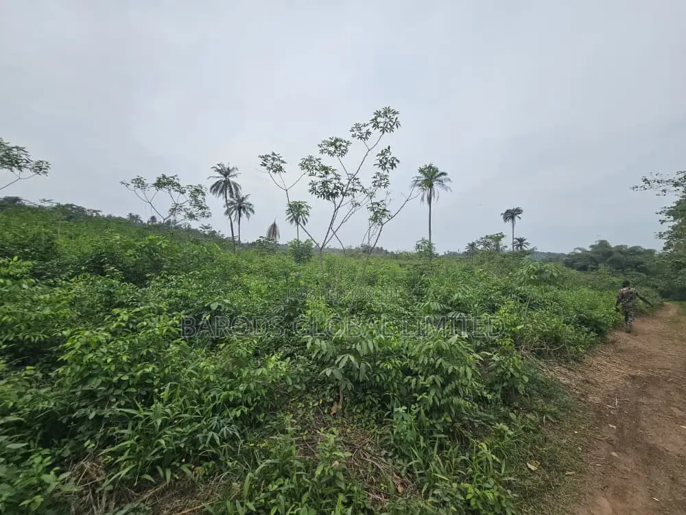 44 Acres of Farmland for Sale in Abeokuta South