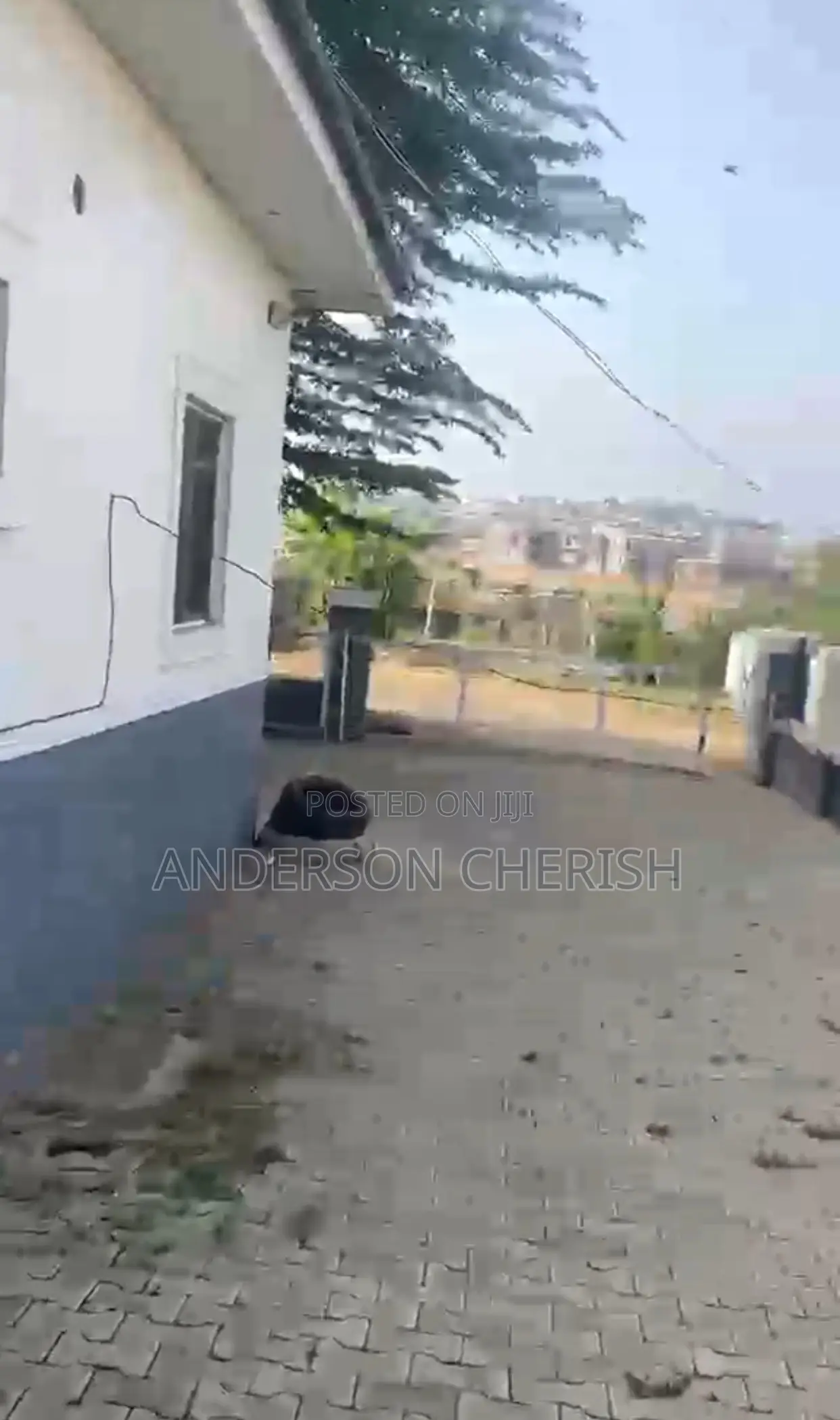 2bdrm Bungalow in Lifecamp for rent in Life Camp
