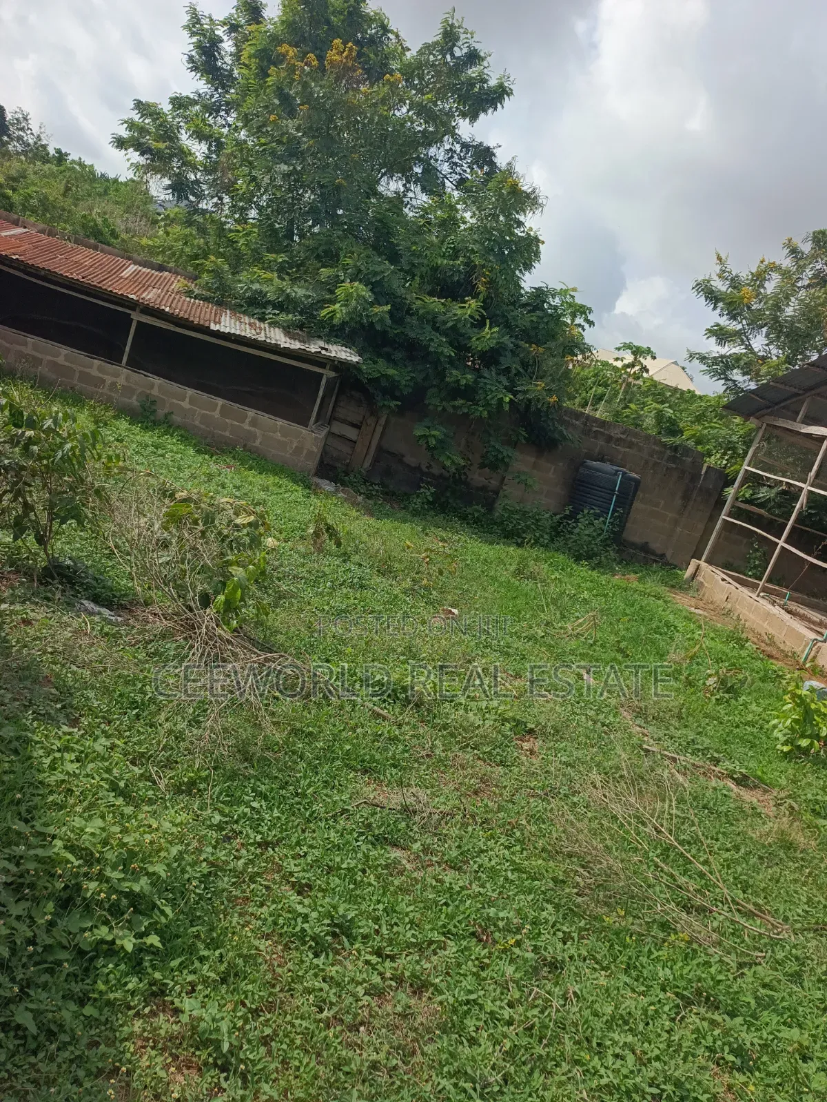 Poultry Farm on 3plots Available for Sale / Lease in Akala Express