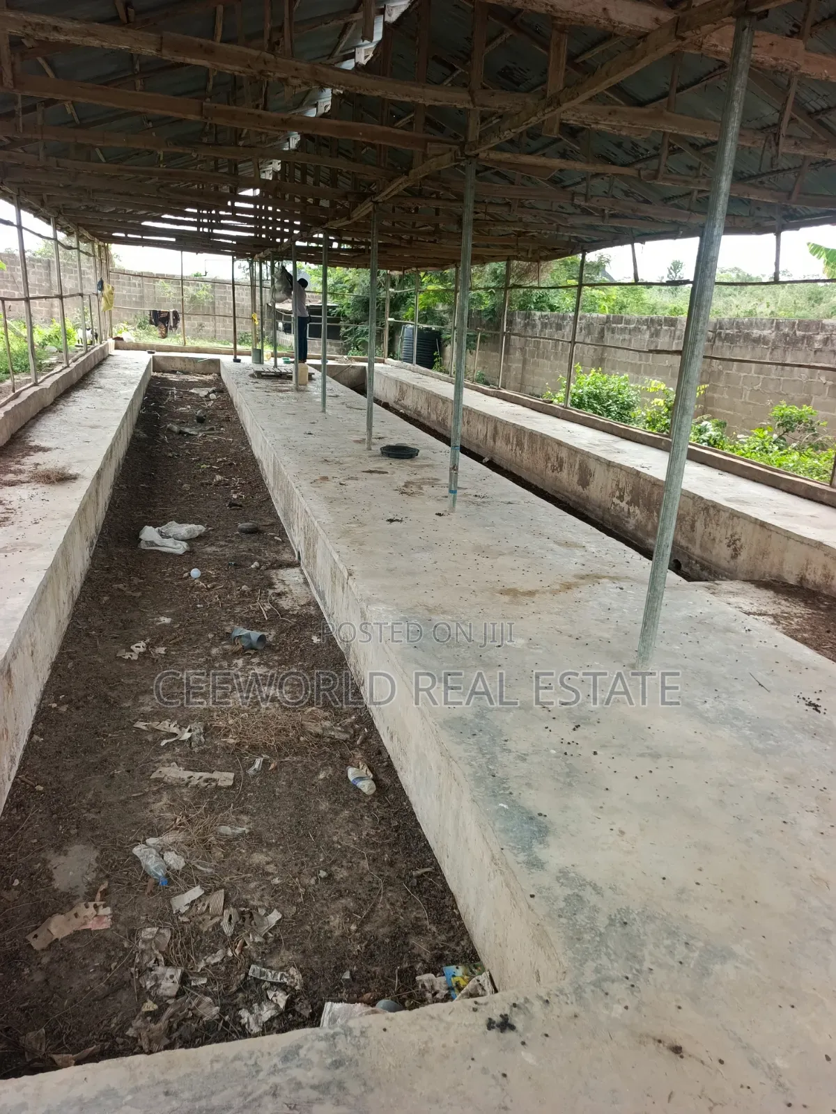 Poultry Farm on 3plots Available for Sale / Lease in Akala Express