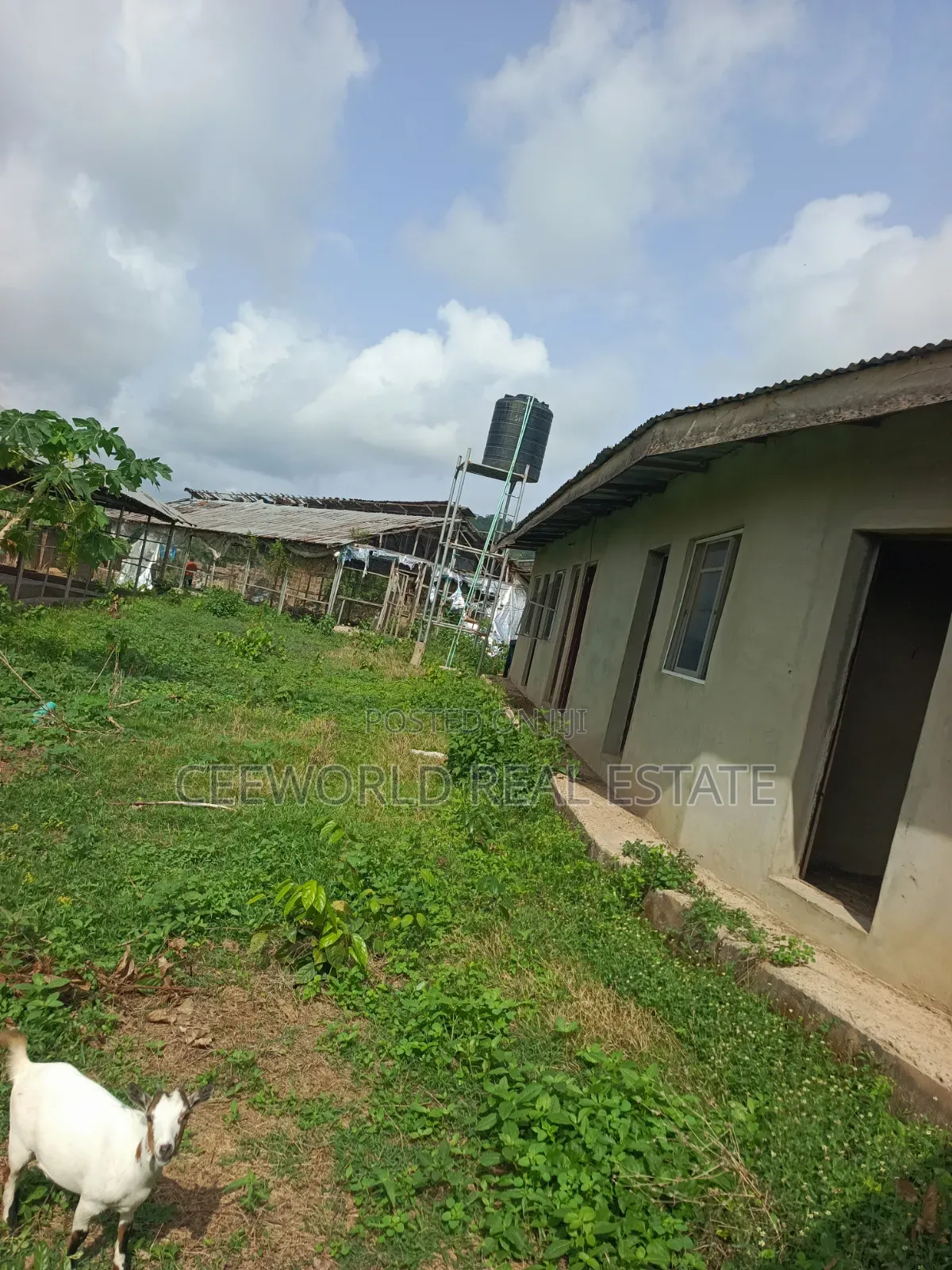 Poultry Farm on 3plots Available for Sale / Lease in Akala Express