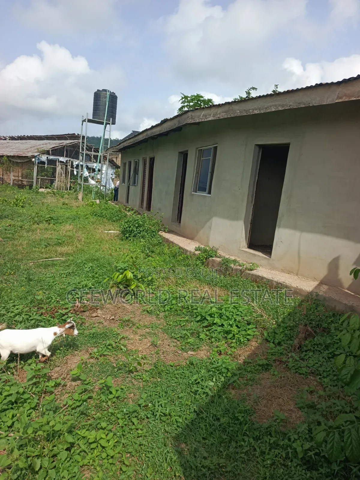 Poultry Farm on 3plots Available for Sale / Lease in Akala Express