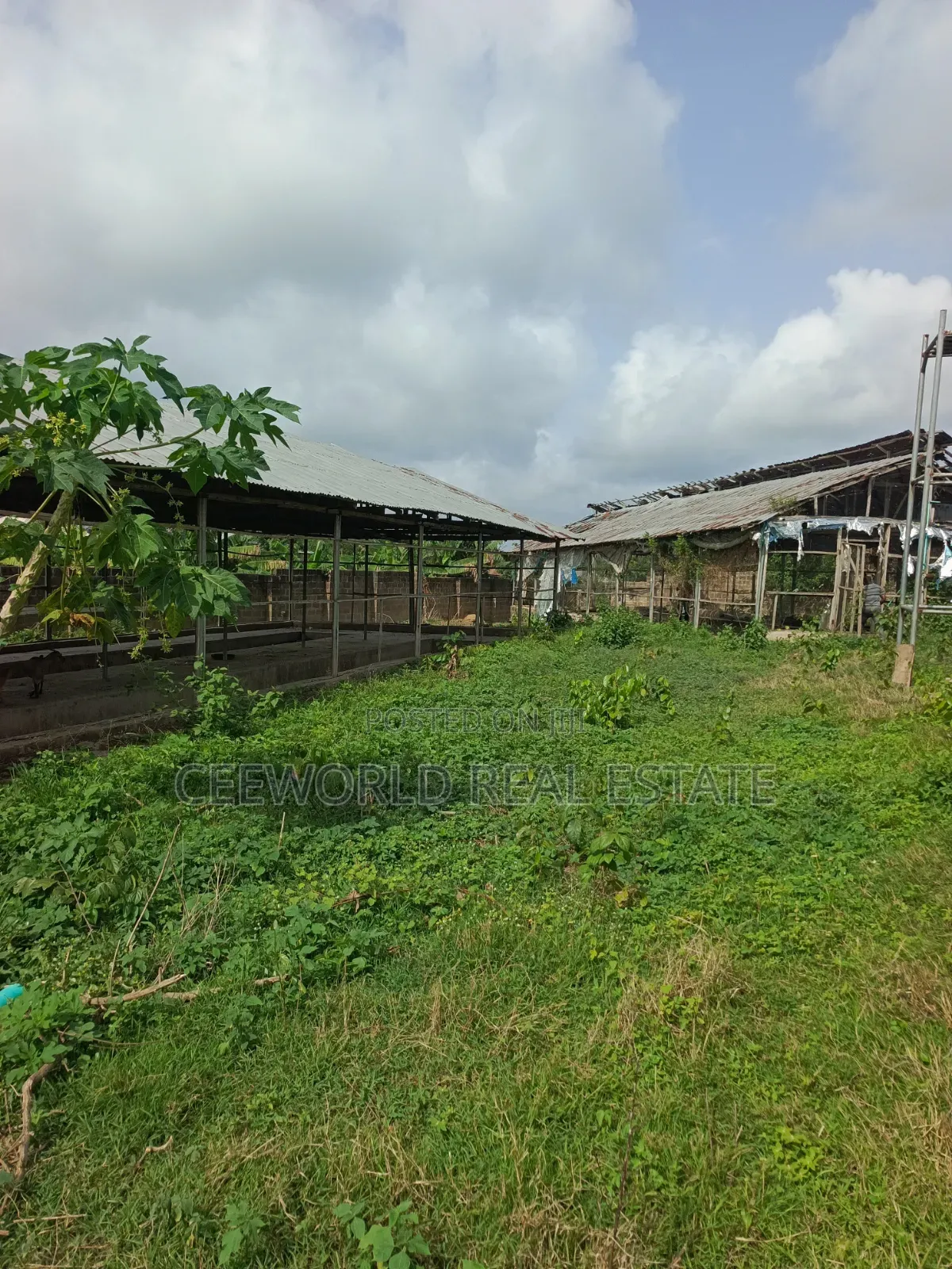 Poultry Farm on 3plots Available for Sale / Lease in Akala Express