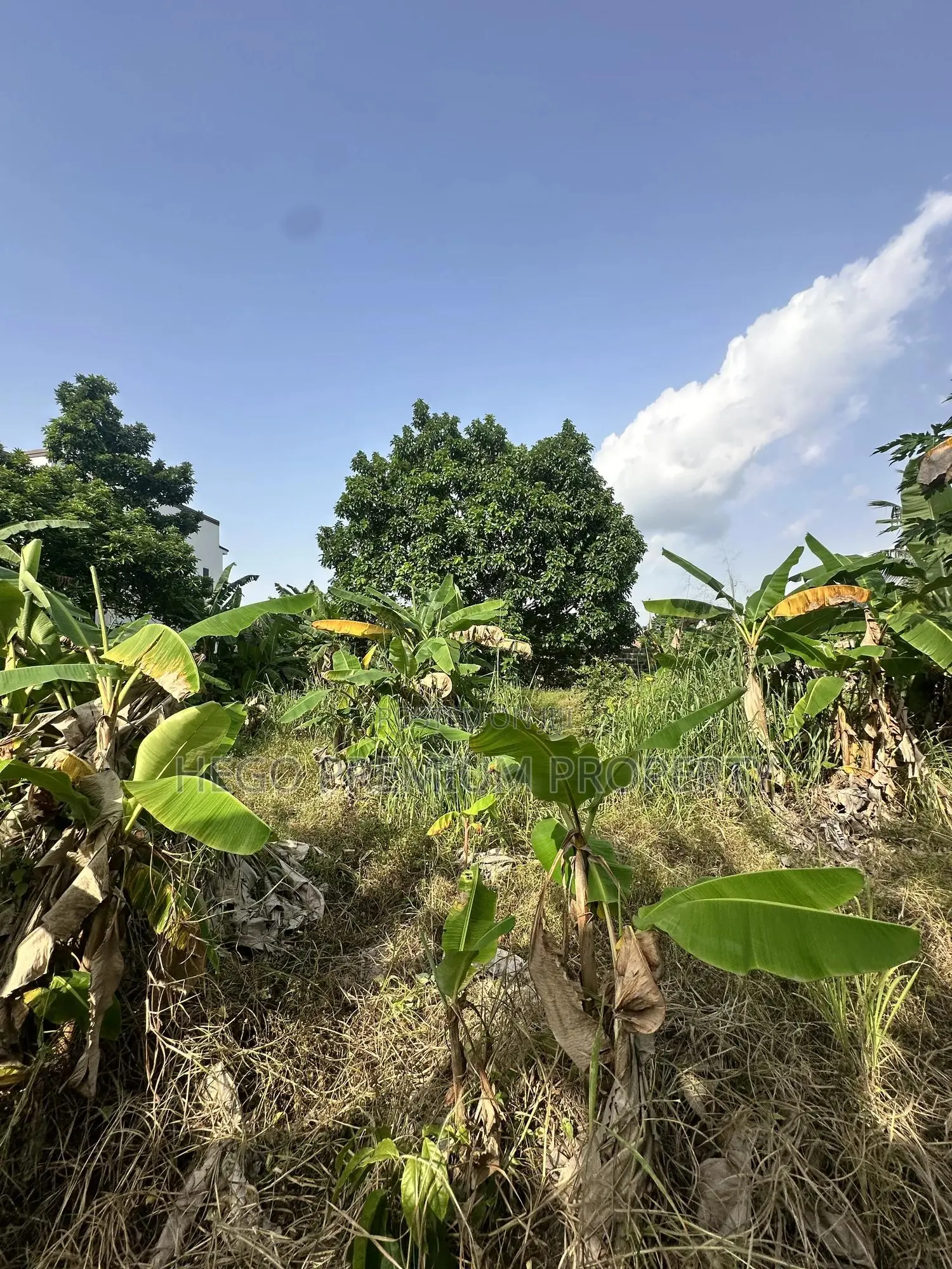 Land for Sale in Port Harcourt in Eneka