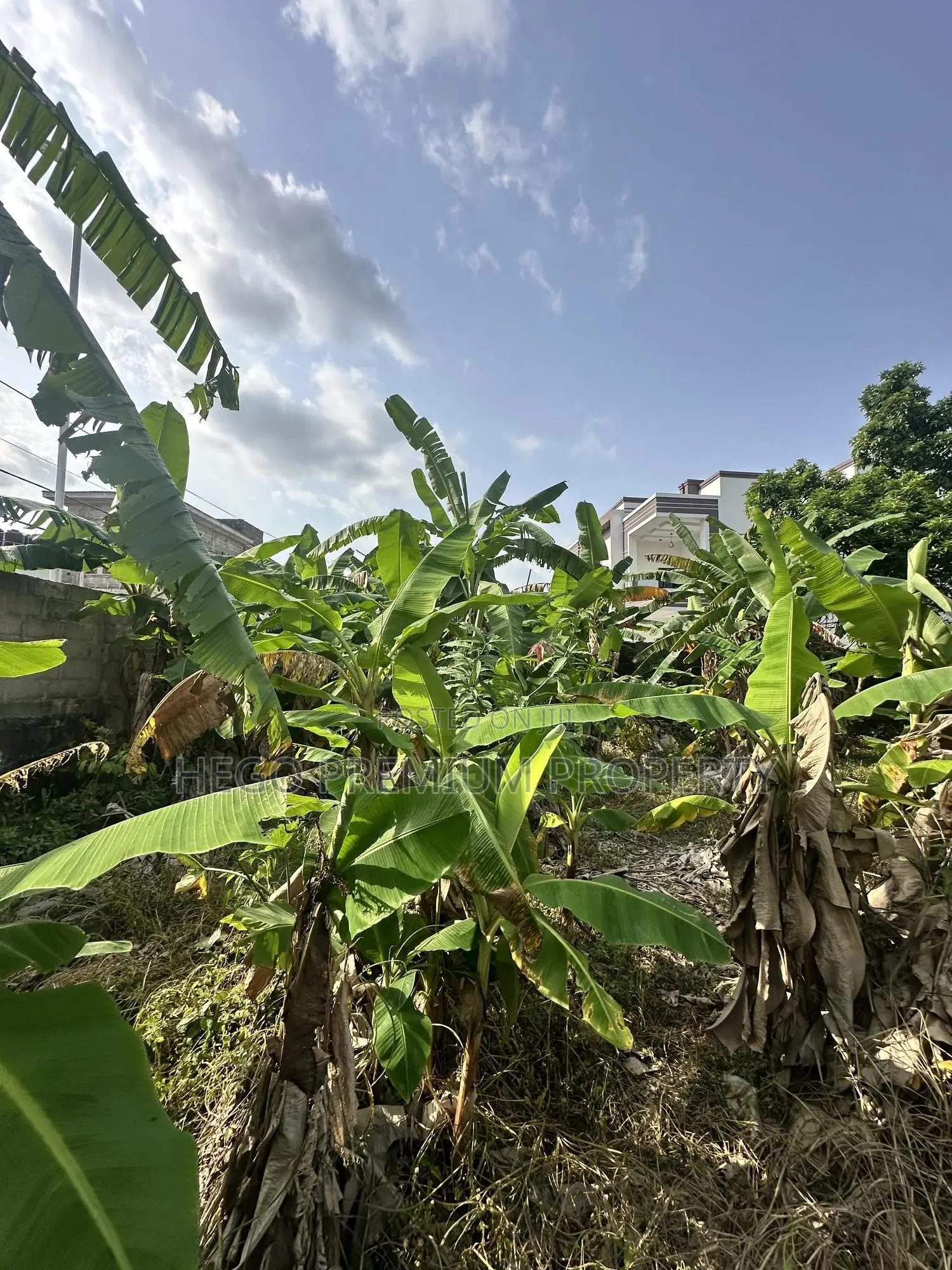 Land for Sale in Port Harcourt in Eneka