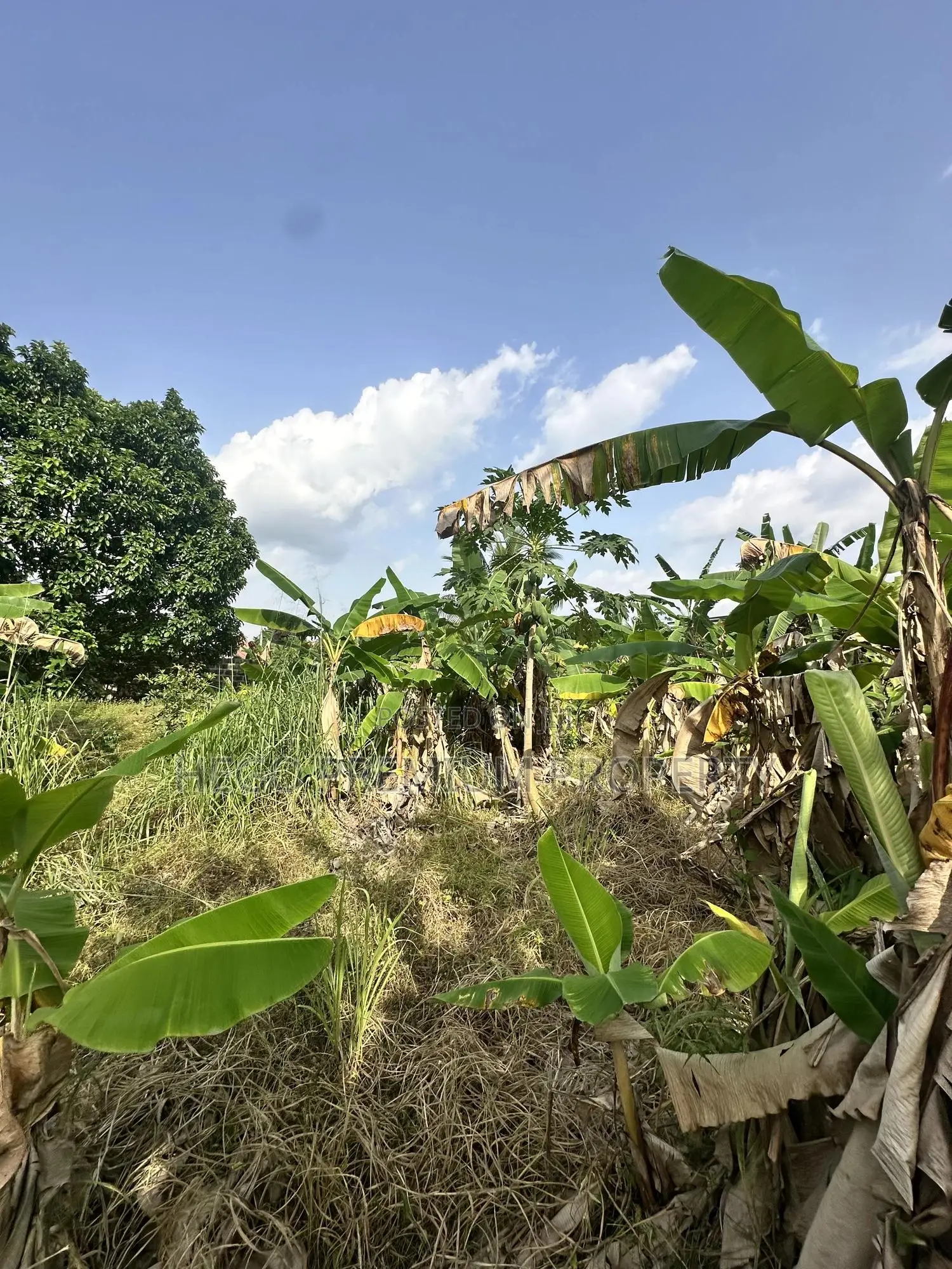 Land for Sale in Port Harcourt in Eneka