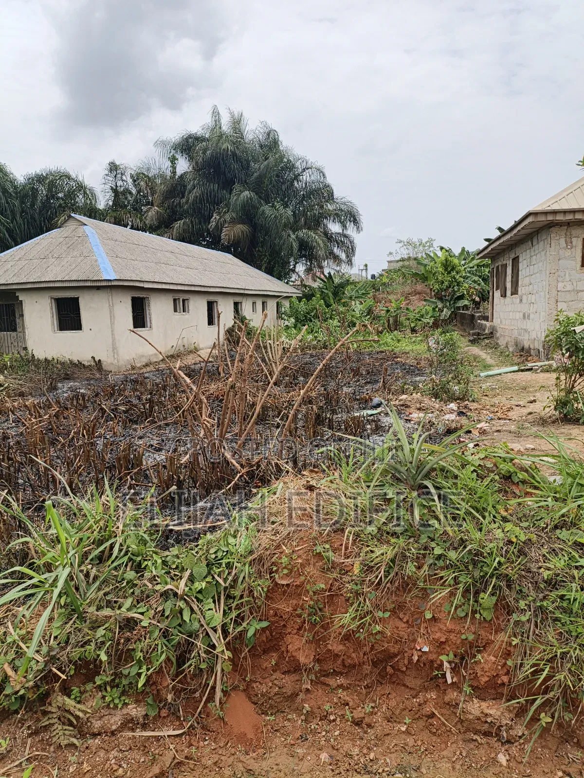 Half Plot of Land for Sale at Parkview Estate,Ijede Road Ikorodu in Ijede / Ikorodu