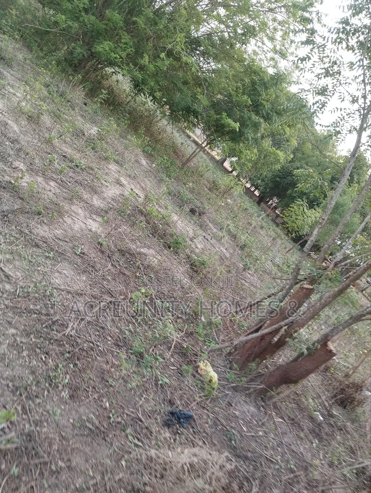 2 Plots of Commercial Land Available, Lautech Iseyin Campus Xpress Way in Iseyin