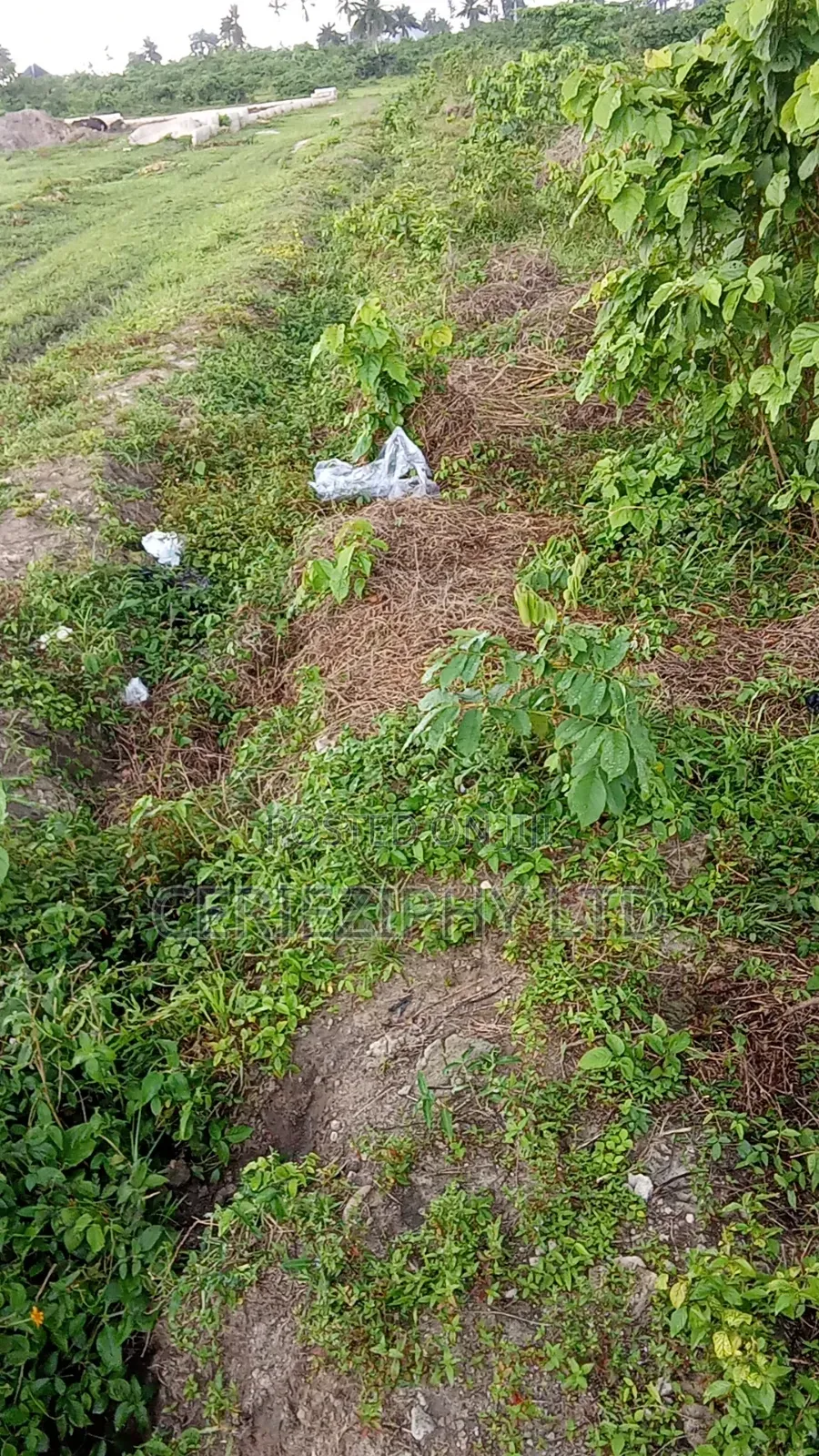 Residential Property in Obio-Akpor