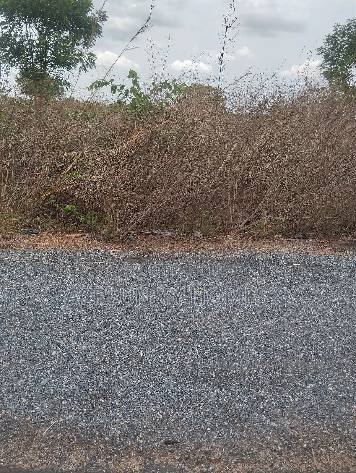 2 Plots of Land Facing Lautech Campus, Xpress Way, Iseyin Oyo State in Iseyin