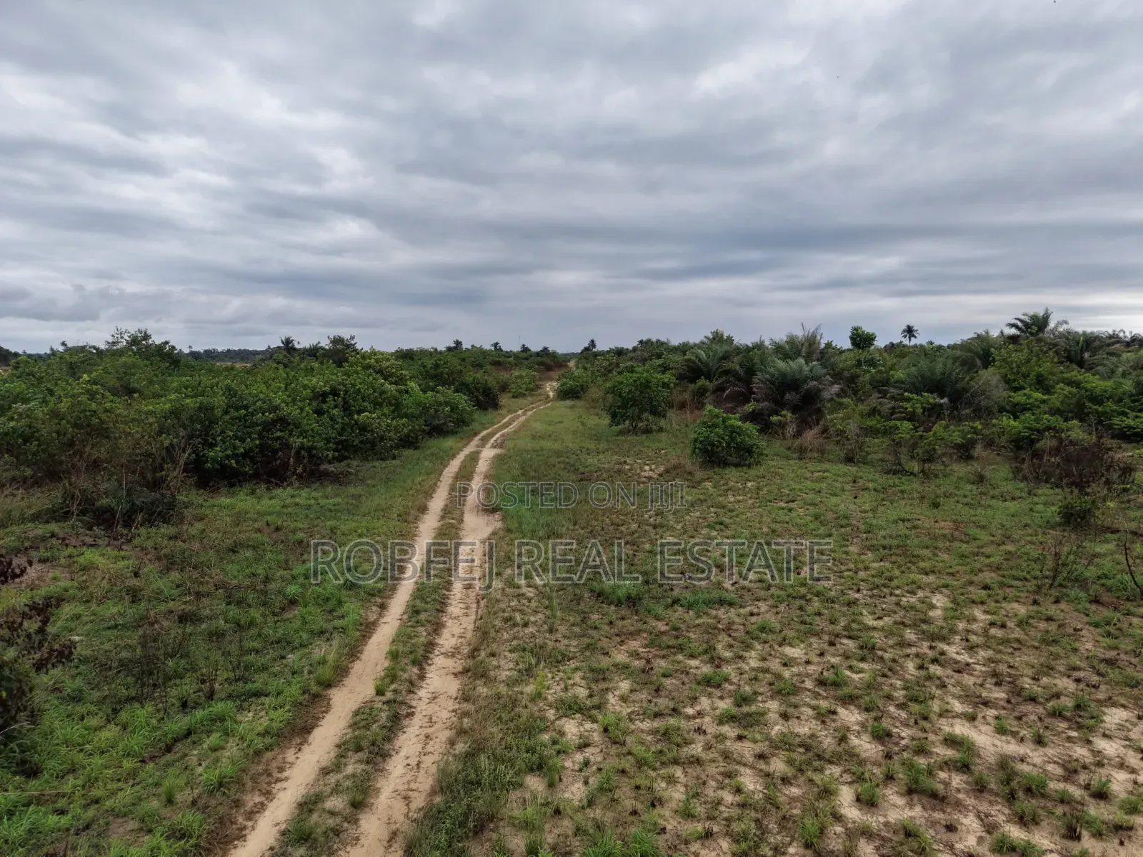Exclusive Investment Offer! in Eleko