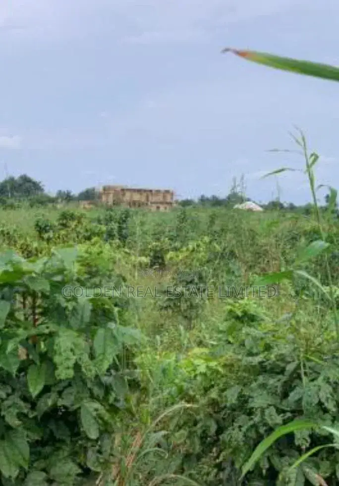 One Plot of Land for Sale in Ado Ekiti