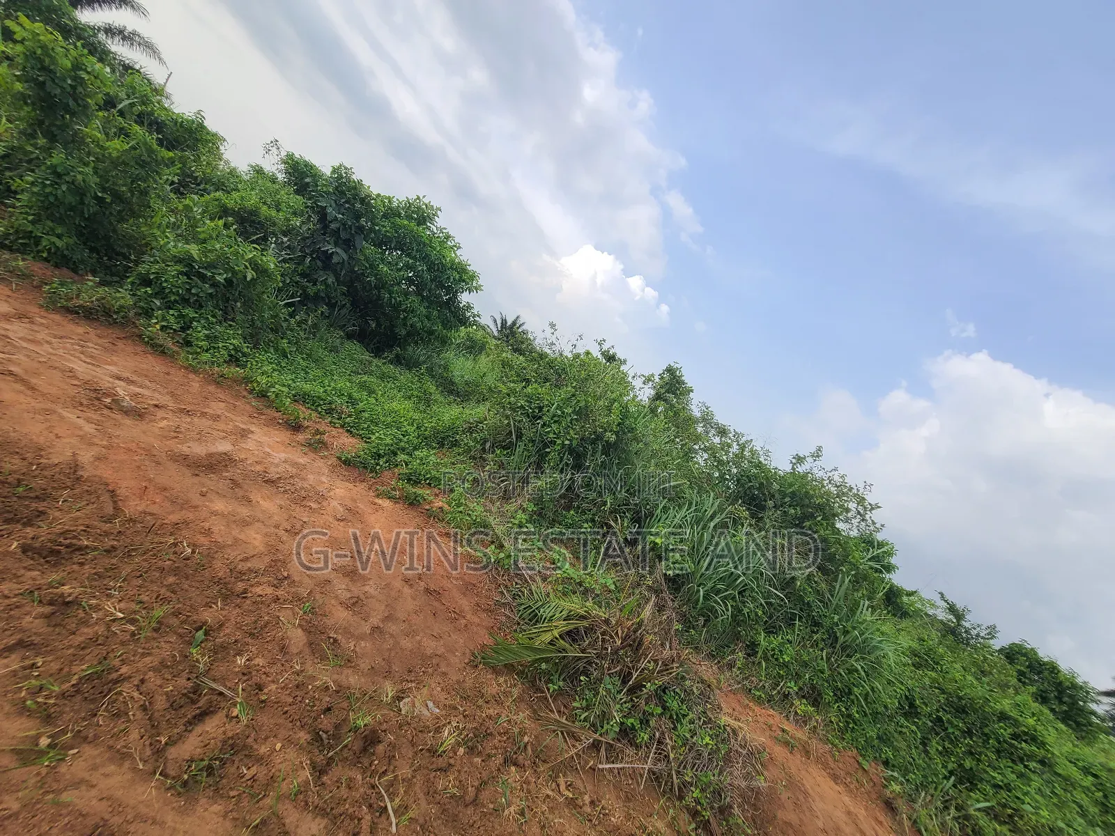 50ft by 100ft for Sale at Obagie Community Off Sapele Road in Benin City