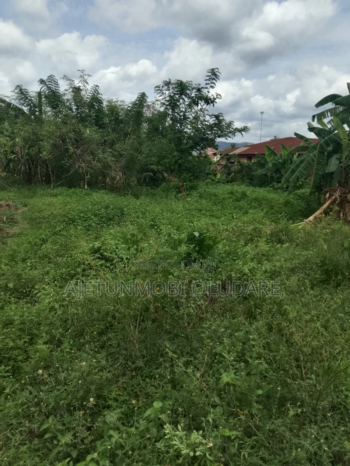 Fantastic Land for Sale in Ado Ekiti