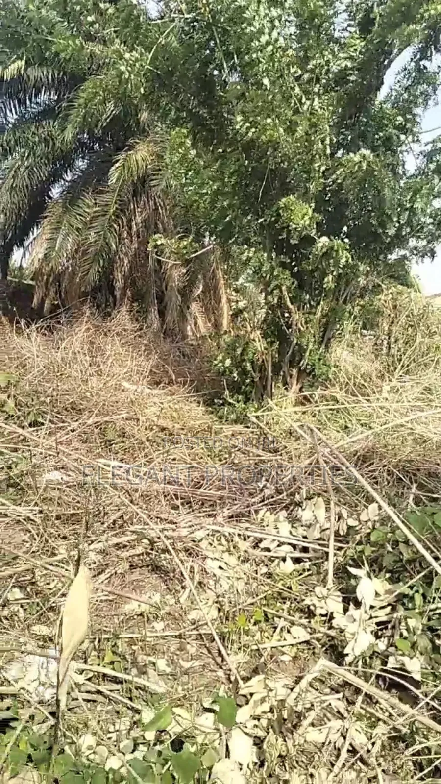 2 Plots of Land at Temidire Estate Very Close to the Main Tarred Road in Osogbo