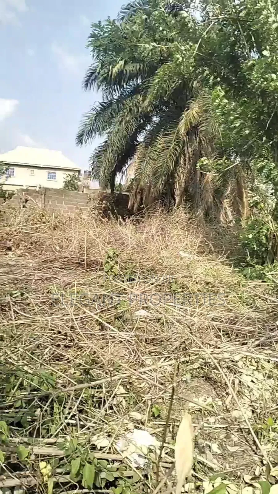 2 Plots of Land at Temidire Estate Very Close to the Main Tarred Road in Osogbo