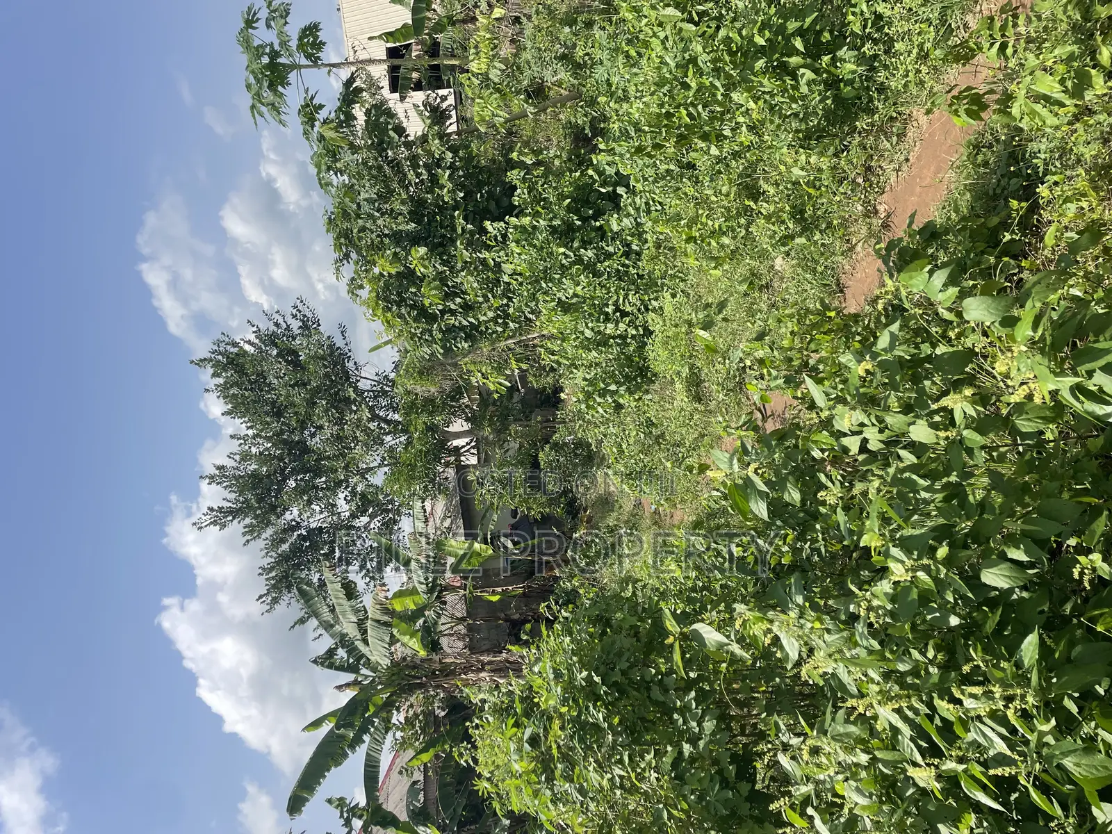 A Complete Full Plot of Land in a Cool and Serene Environment in Ado-Odo/Ota
