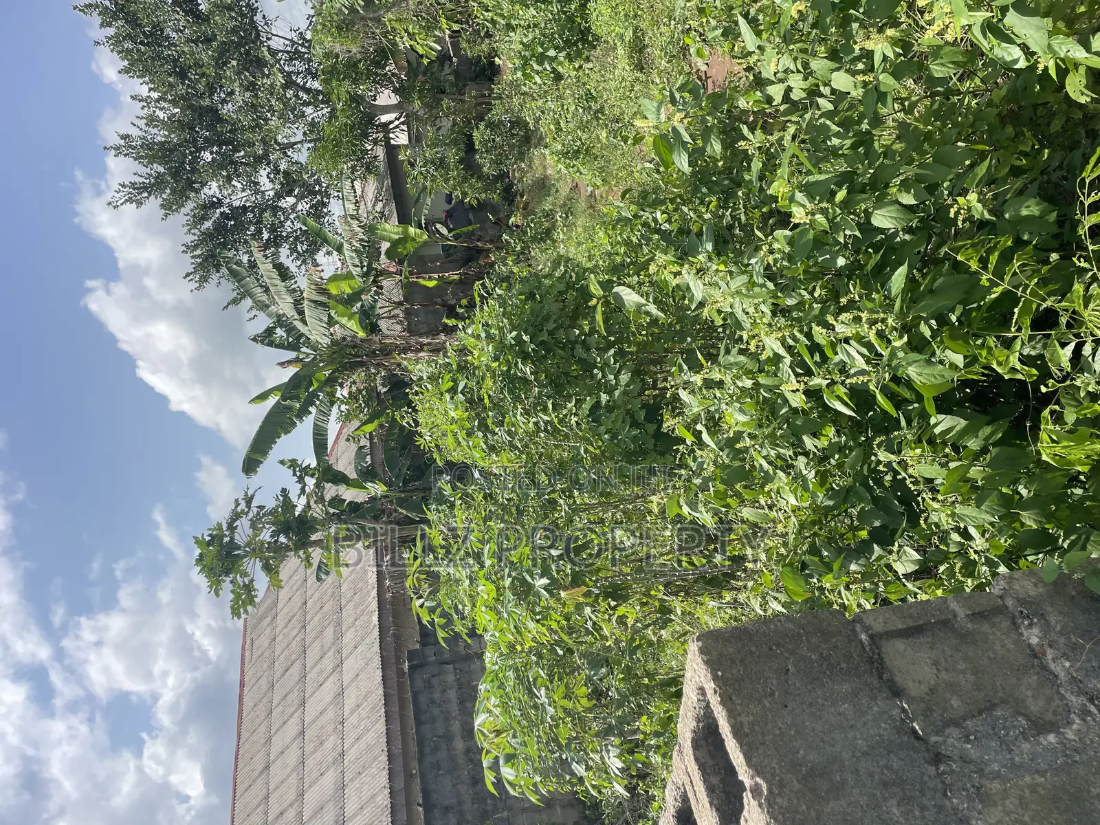 A Complete Full Plot of Land in a Cool and Serene Environment in Ado-Odo/Ota
